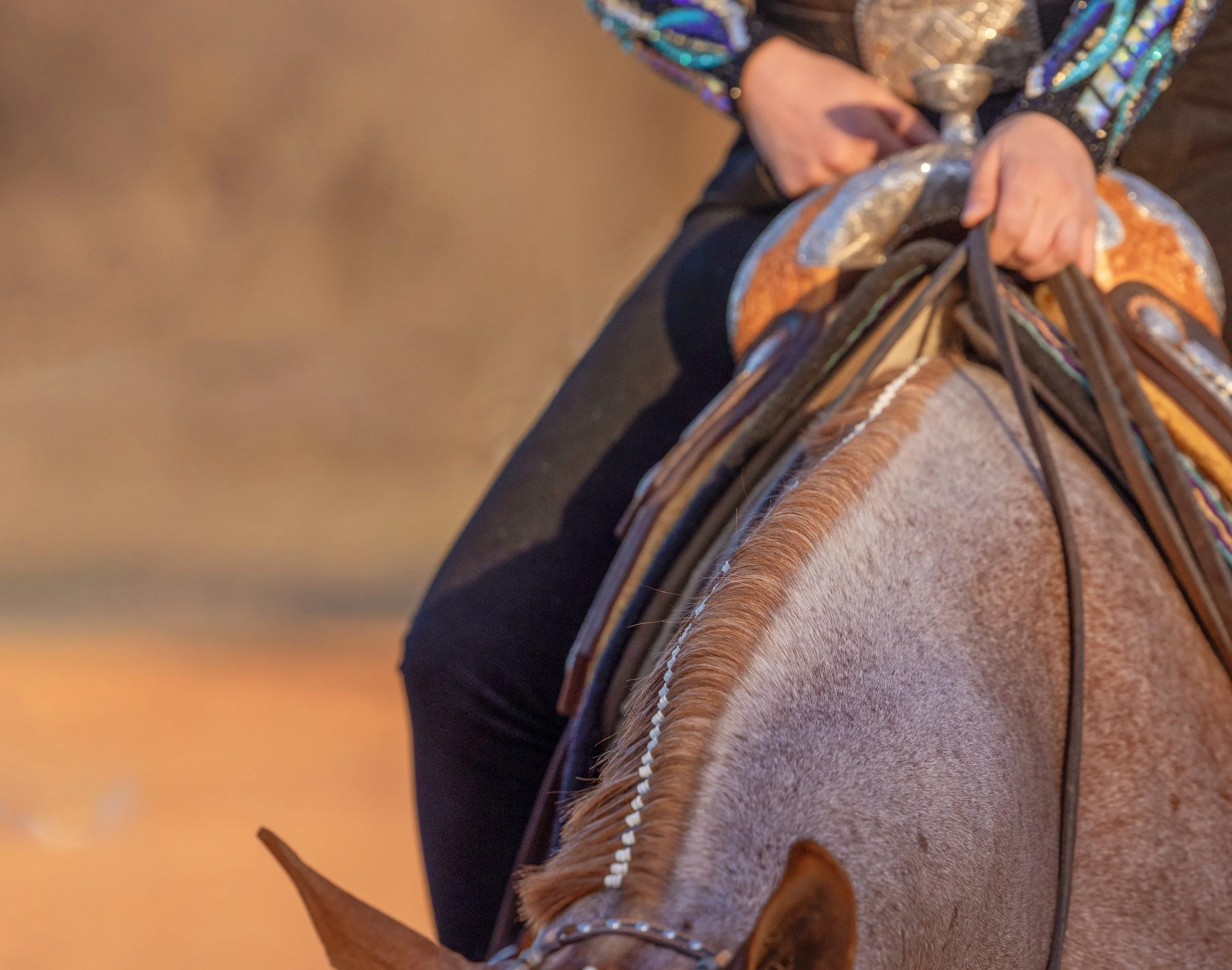 Close-up of a horse's saddle and bridle, with a rider holding the reins, during sunset.