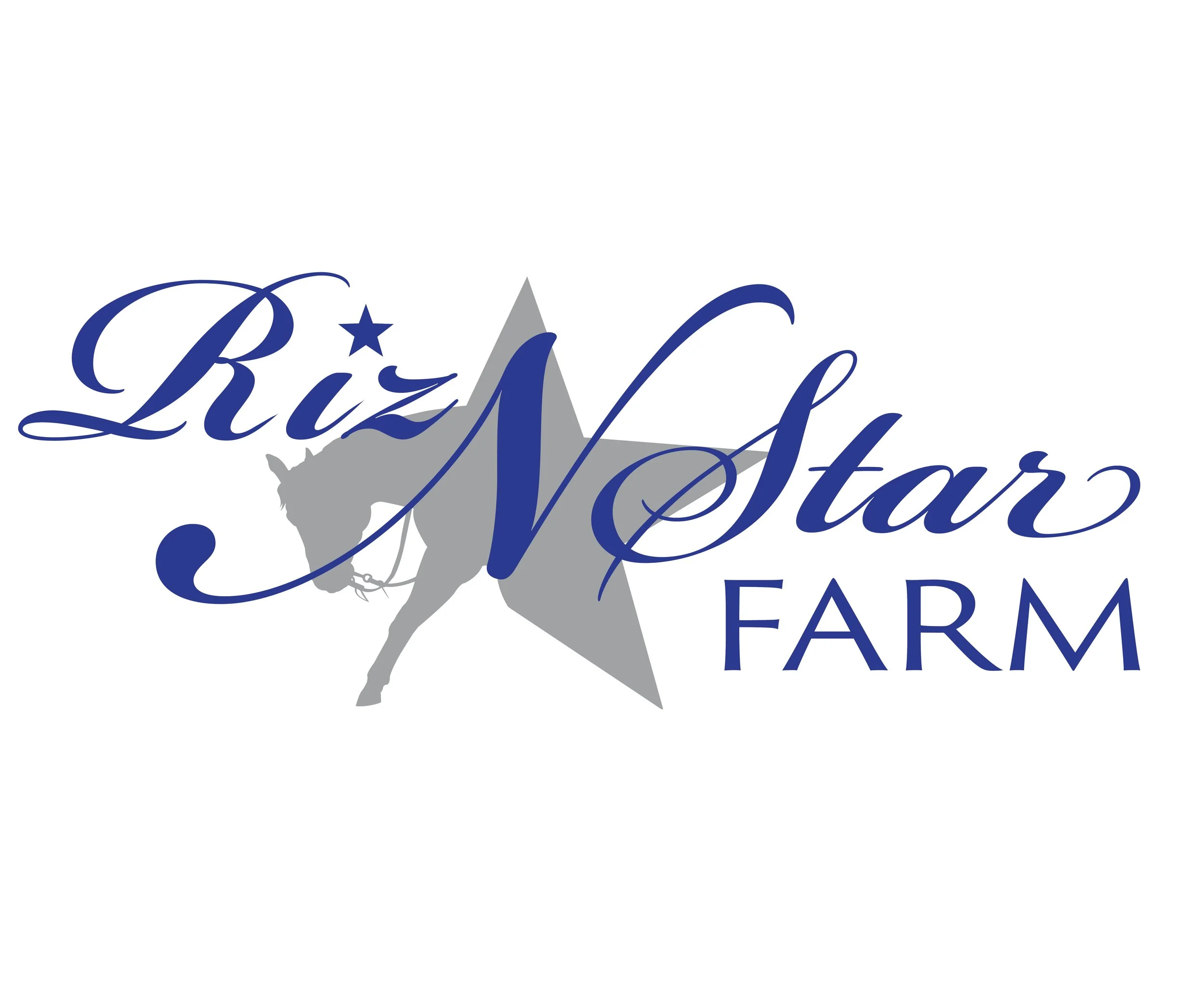 A logo with the outline of the United States map in gray, featuring a star with a smaller star on top of the letter 'i' in contrast. The text 'Biz' and 'Star' are written in elegant blue cursive font, with the word 'Farm' in smaller capital letters underneath.