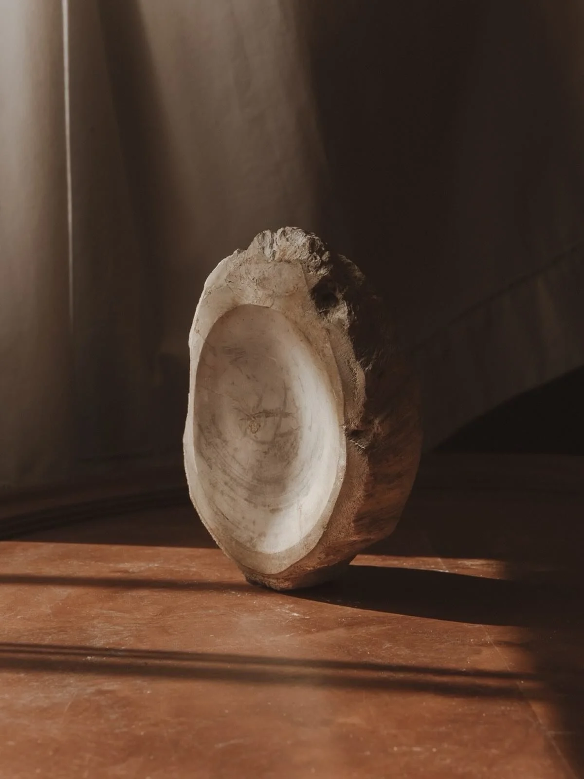 *

A piece shaped by time itself.

Petrified wood is wood that has slowly turned to stone over millions of years &mdash; a quiet transformation where minerals replace the original fibers, preserving its lines, its texture, its story.

Each piece is t