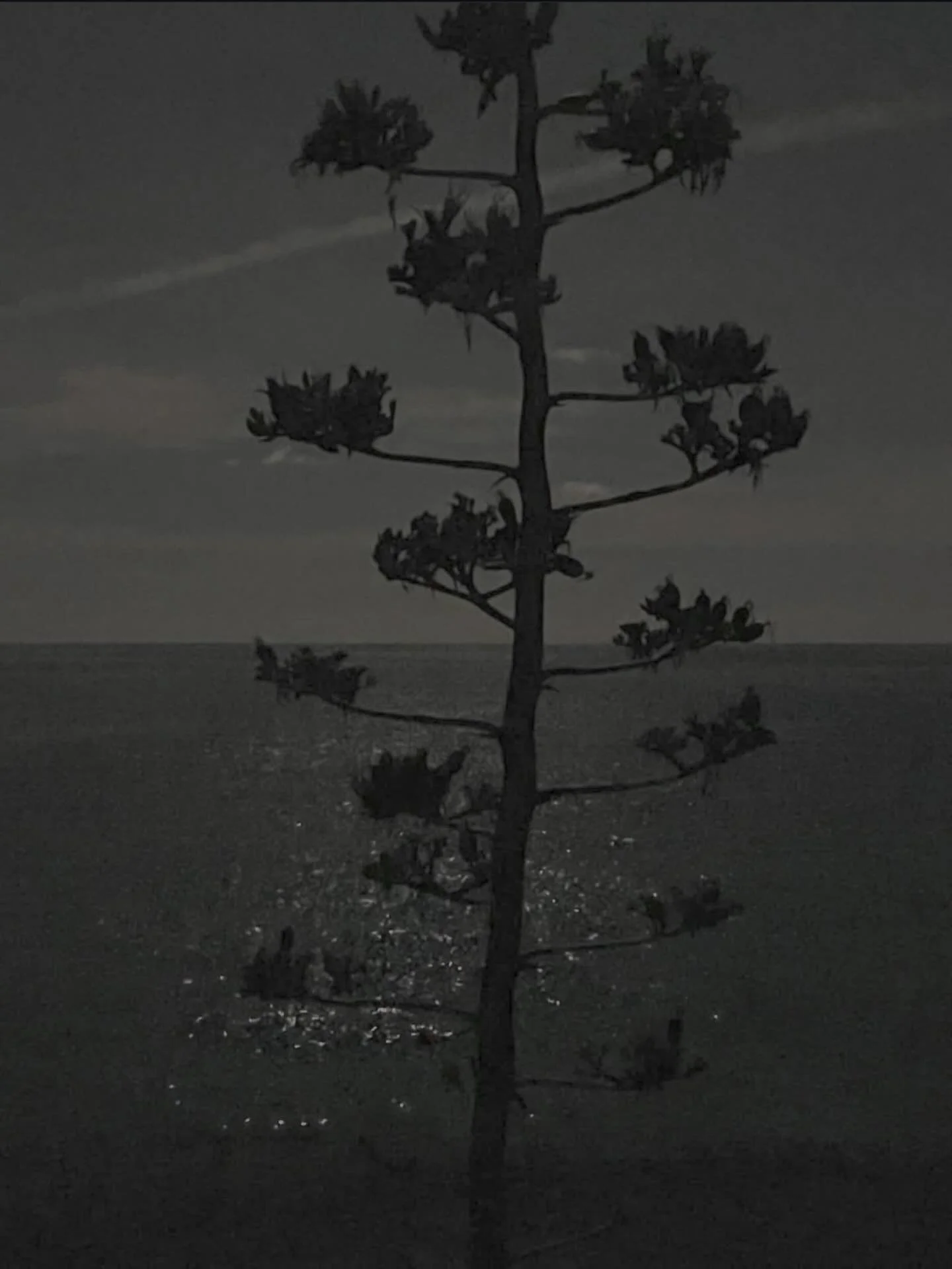 *

Nightfall by the sea.
Full moon.
A walk wrapped in darkness.

That moment when everything slows down.

Calm is something we design, too.