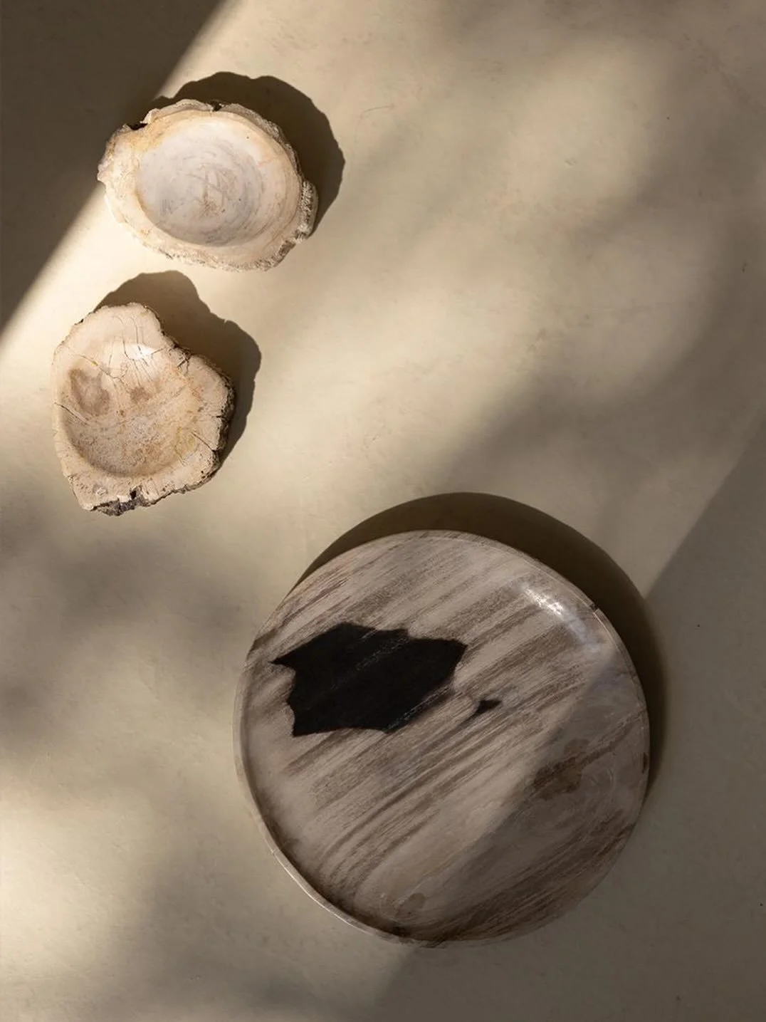 *

Petrified wood &mdash; once living matter,
slowly transformed into stone over time.

Each piece holds its own pattern,
its own tones,
its own quiet story.

Unique pieces, shaped by time.

Available on
www.tentfulshop.com