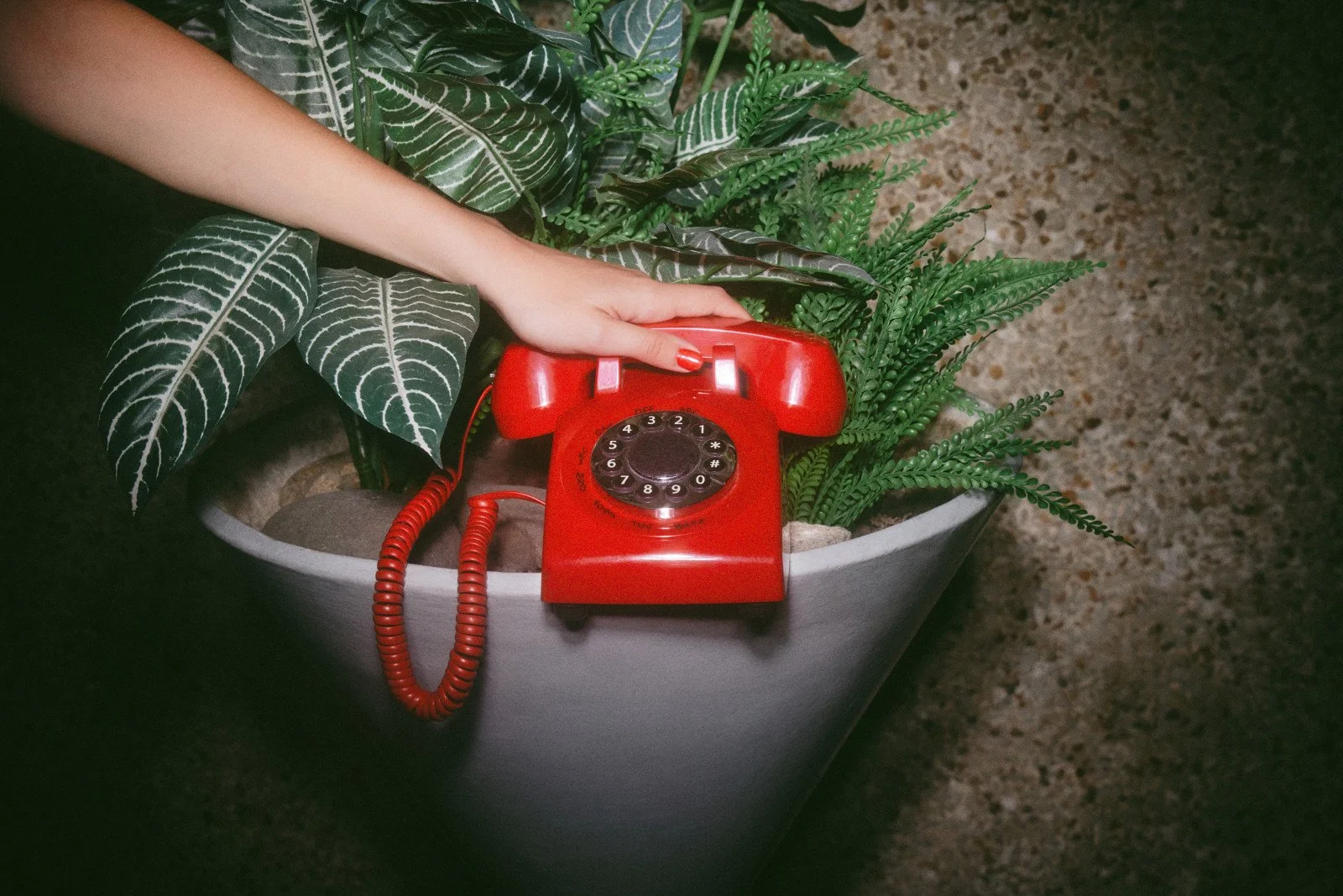 Red rotary phone sitting on a plant pot filled with green plants, with a person's hand pressing the phone's receiver.