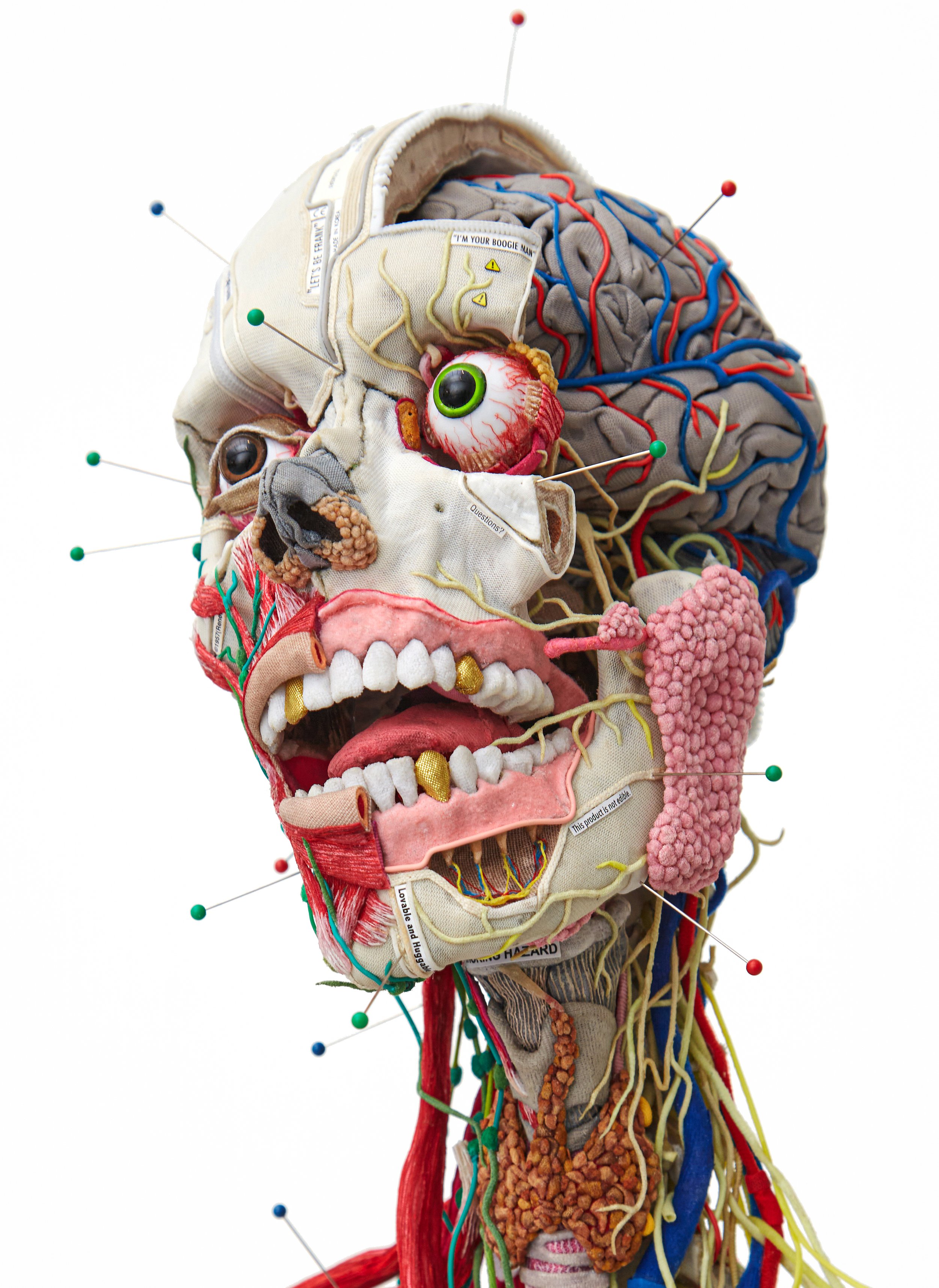 Acupuncture Anatomy_How to be Unnamed, but Loved ๐บ