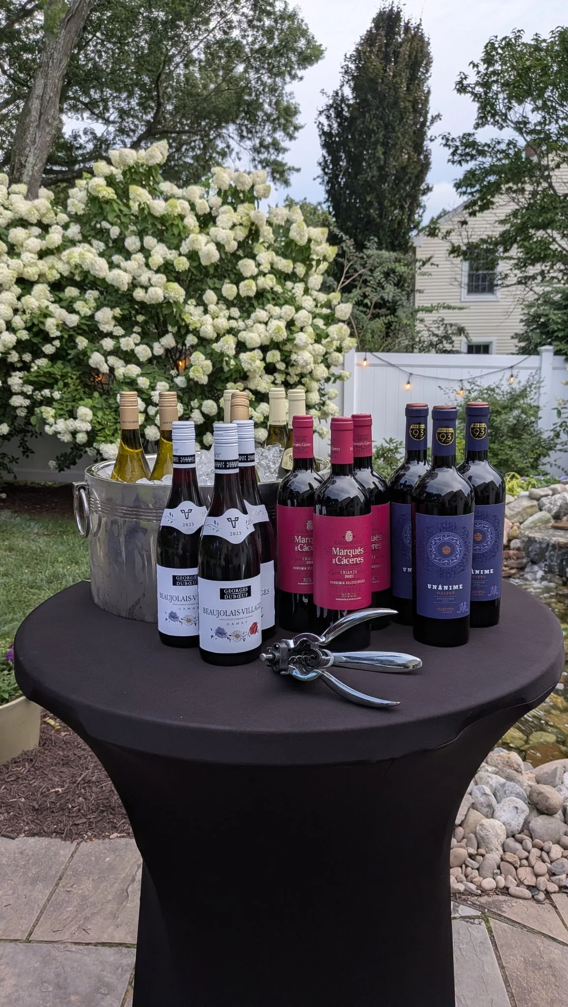 Lineup of wine bottles at an outdoor tasting