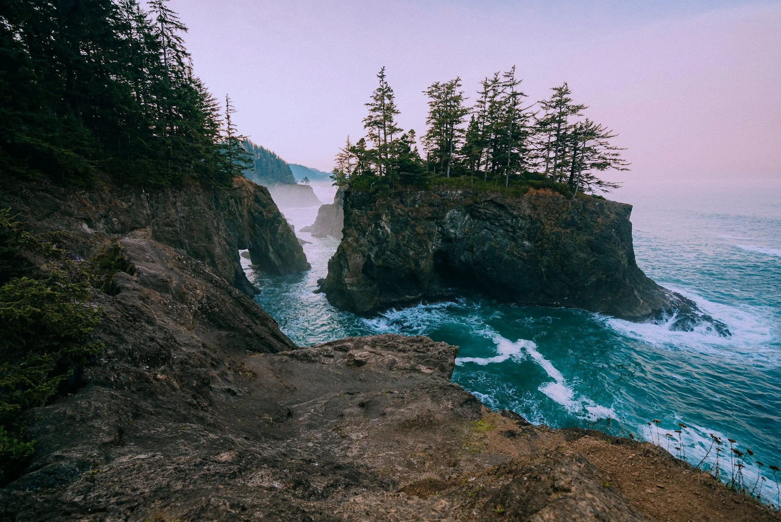 Coastal scene with rocky cliffs, evergreen trees, and ocean waves at sunset