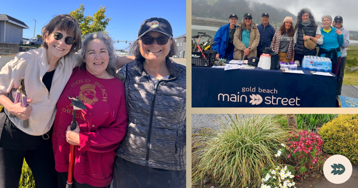 Connection, Collaboration &amp; Community Impact