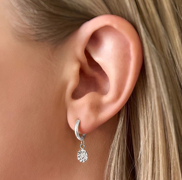 harmony-silver-huggies-on-ear.jpeg
