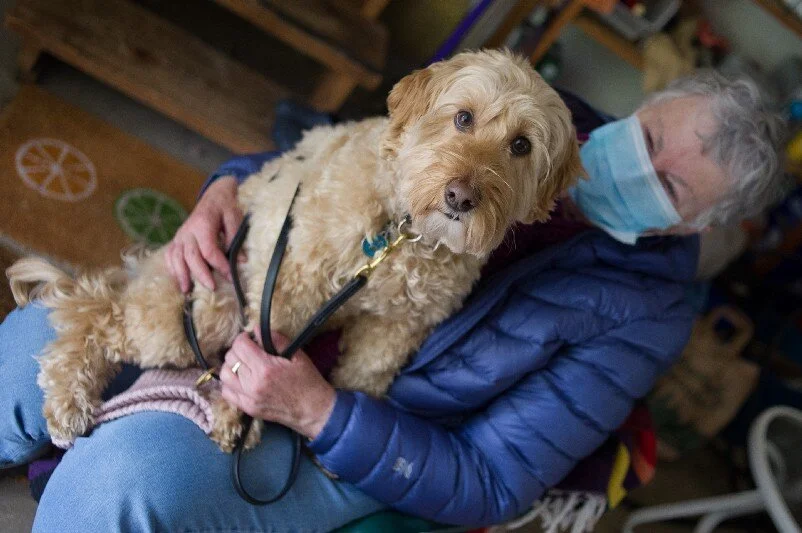 Linda’s 8-year-old miniature labradoodle, Phoebe, sits on her lap in Linda’s home on March 7, 2021 in Mount Vernon, Wash. “She has been one thing that has helped me get through this year,” she said. “If I didn’t have her, I would just be totally los…