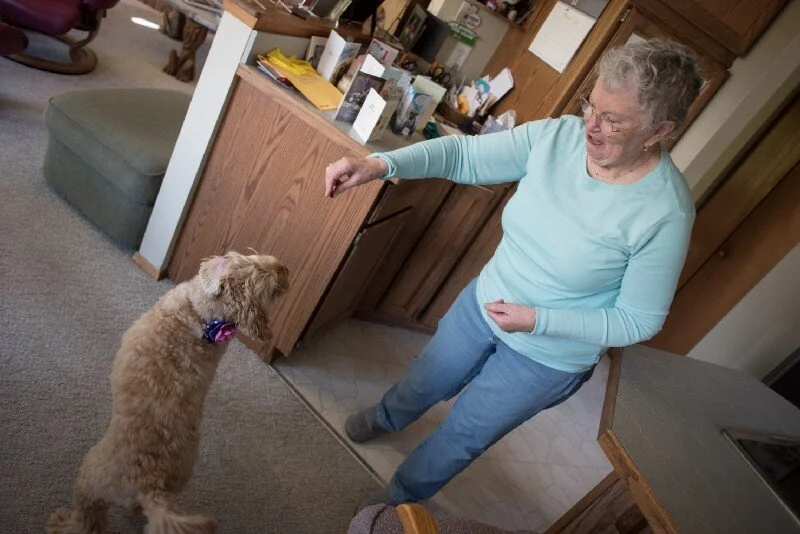 Linda holds up a treat as Phoebe, her 8-year-old miniature labradoodle, stands on her hind legs and spins in a circle in Linda’s home on March 7, 2021 in Mount Vernon, Wash.