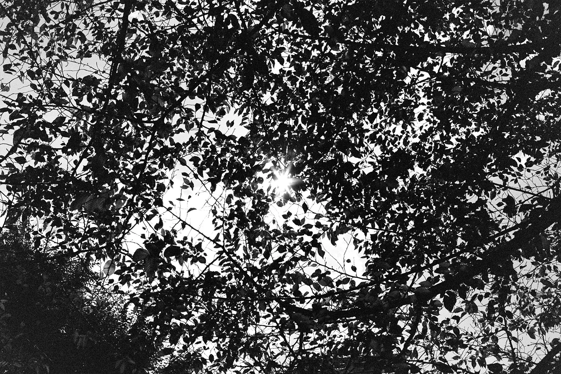 Perhaps Hirayama’s view in Tokyo 2024