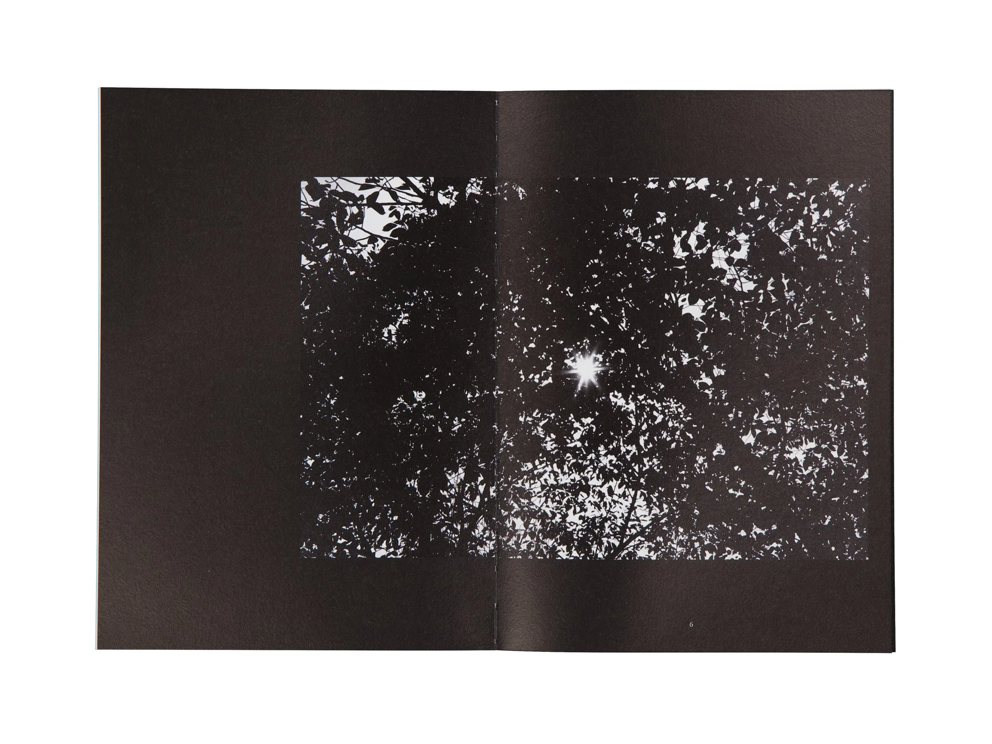 PERFECT DAYS PHOTO BOOK