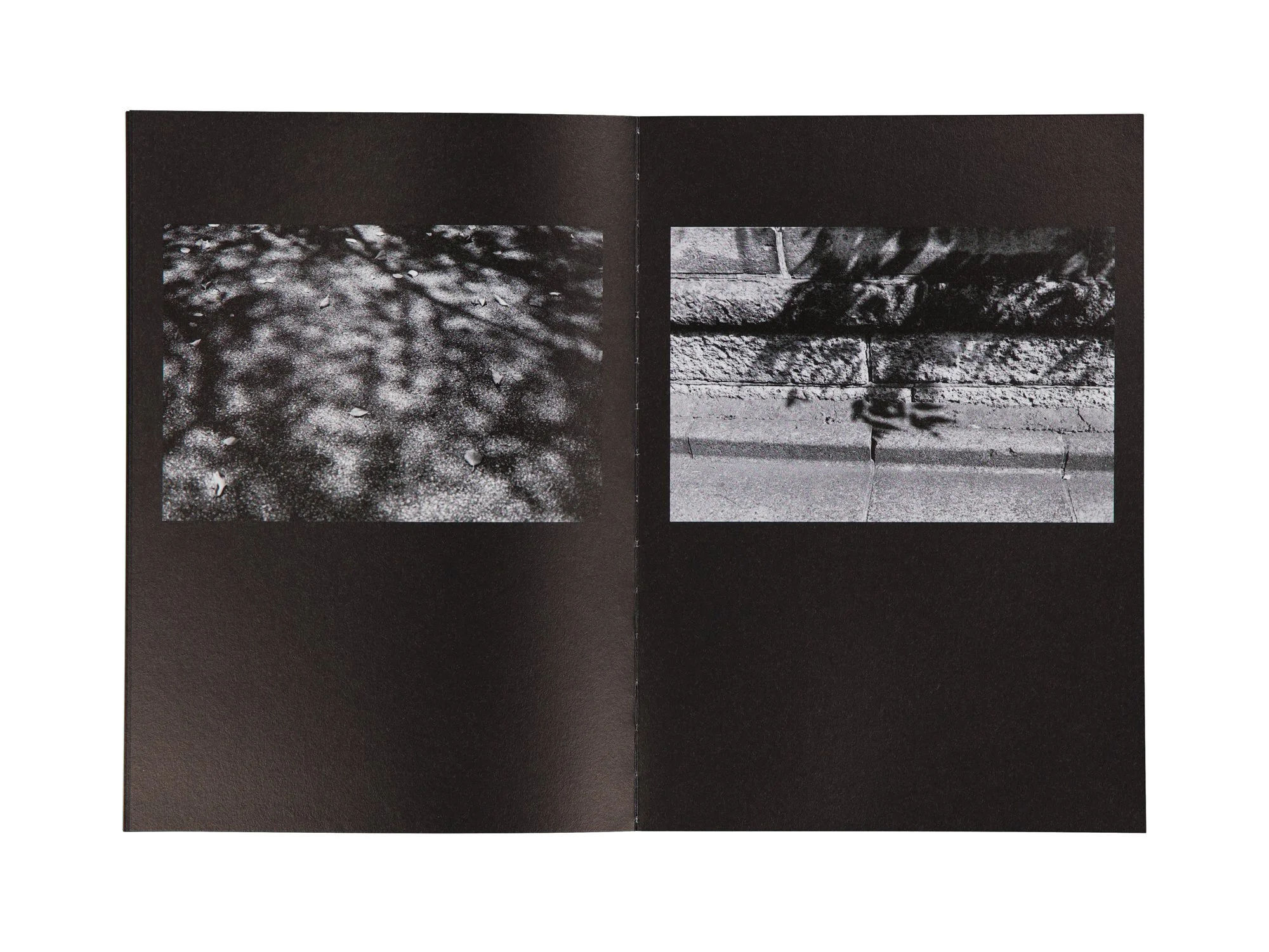 PERFECT DAYS PHOTO BOOK