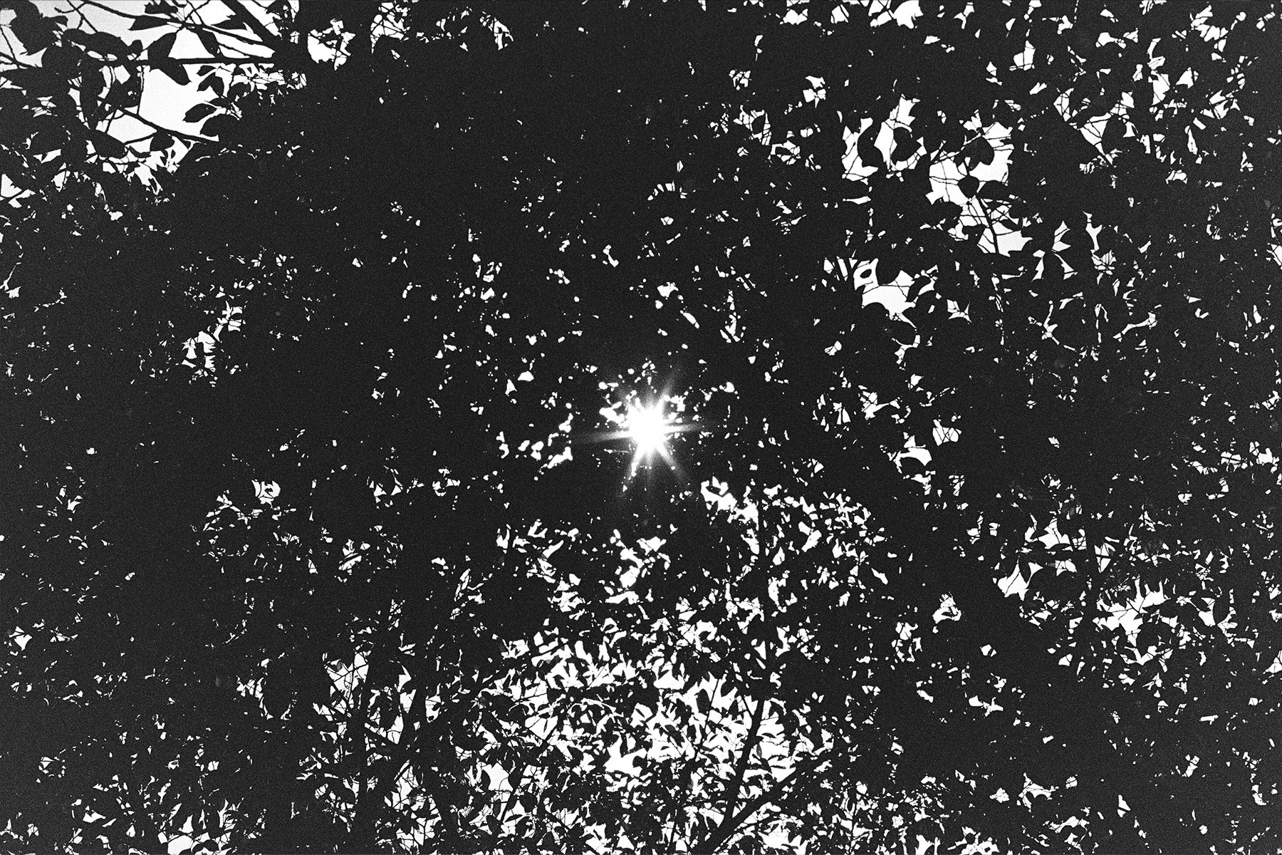 Perhaps Hirayama’s view in Tokyo 2024