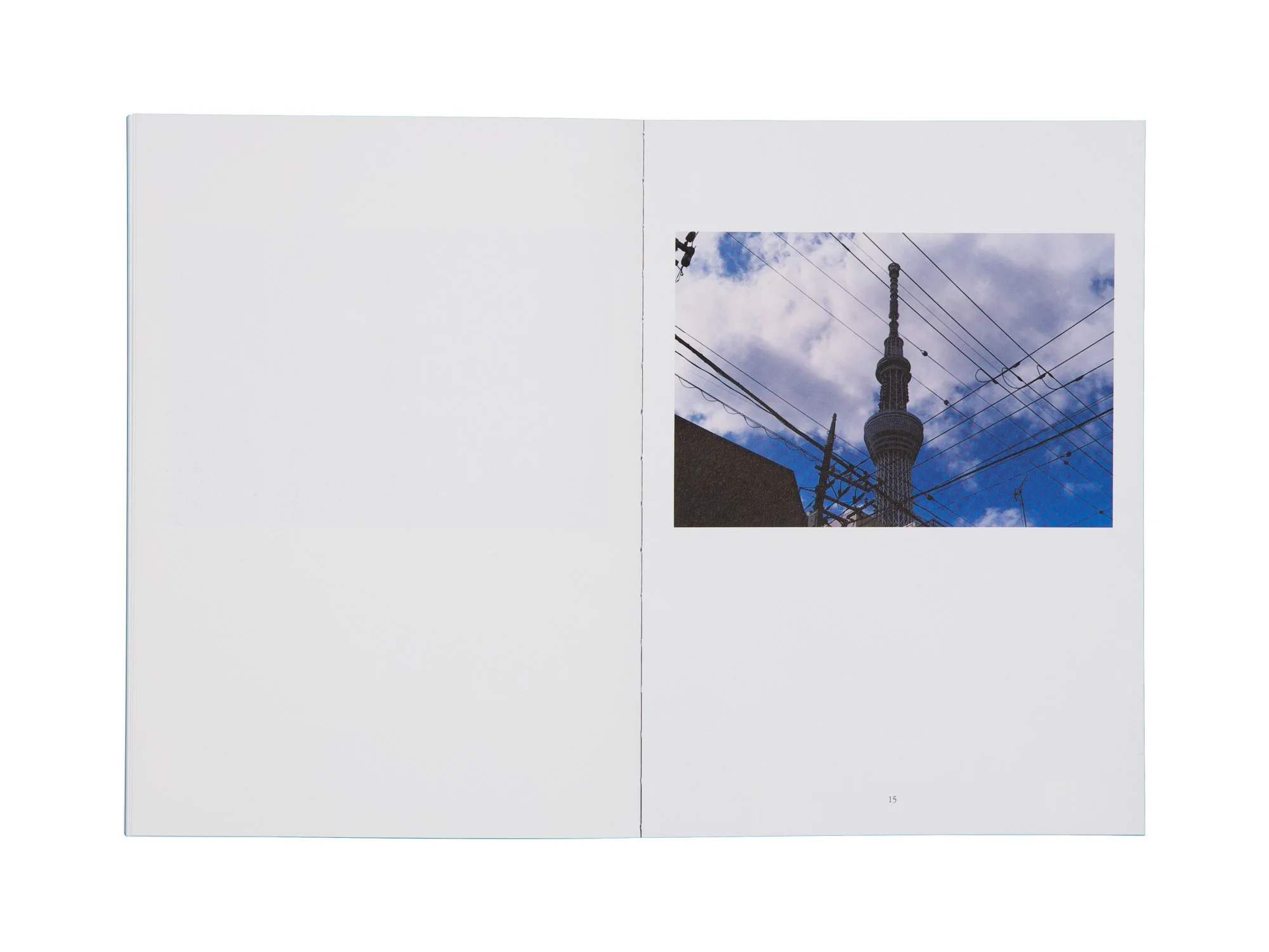 PERFECT DAYS PHOTO BOOK