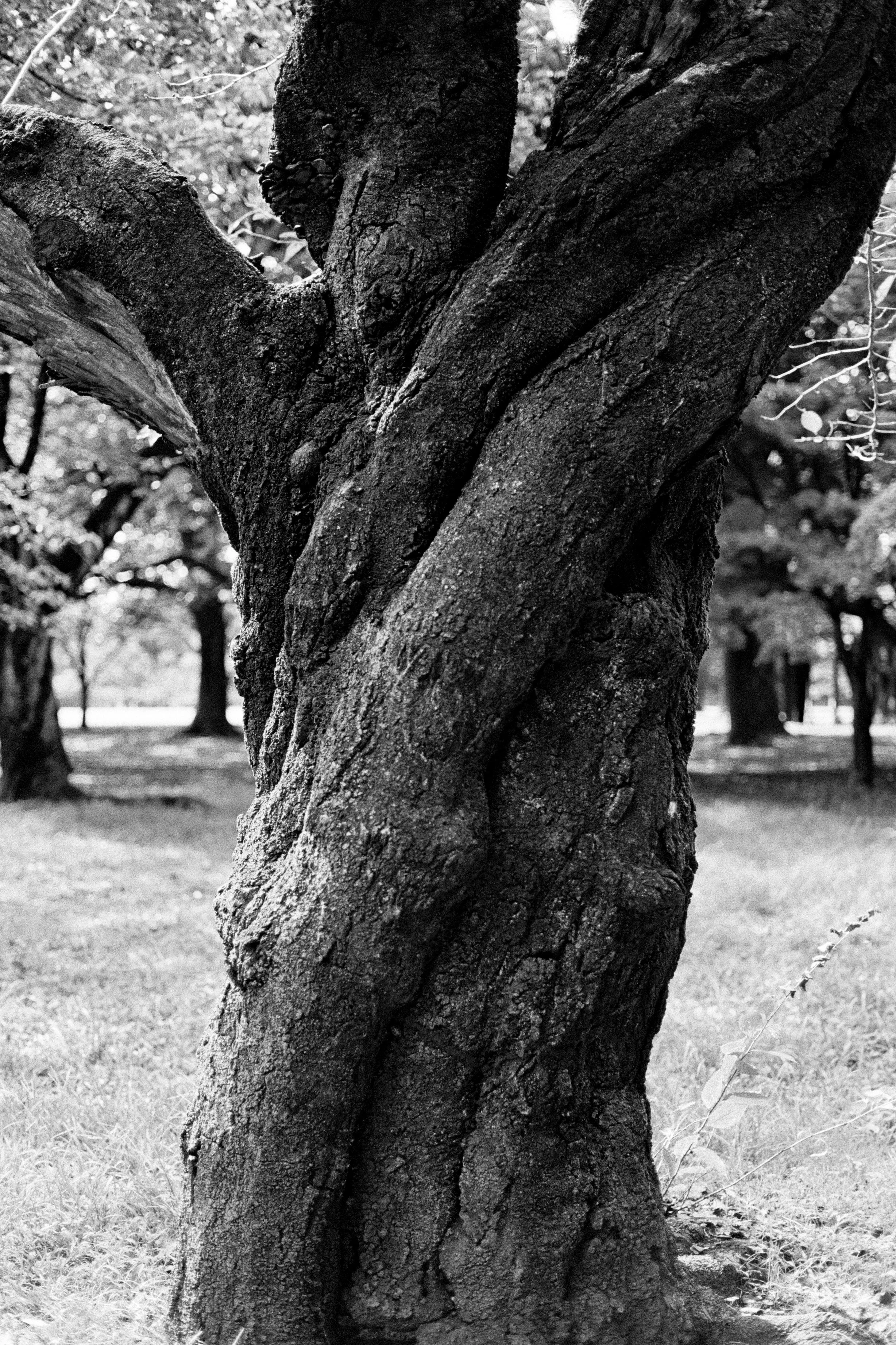 Perhaps Hirayama’s view in Tokyo 2024