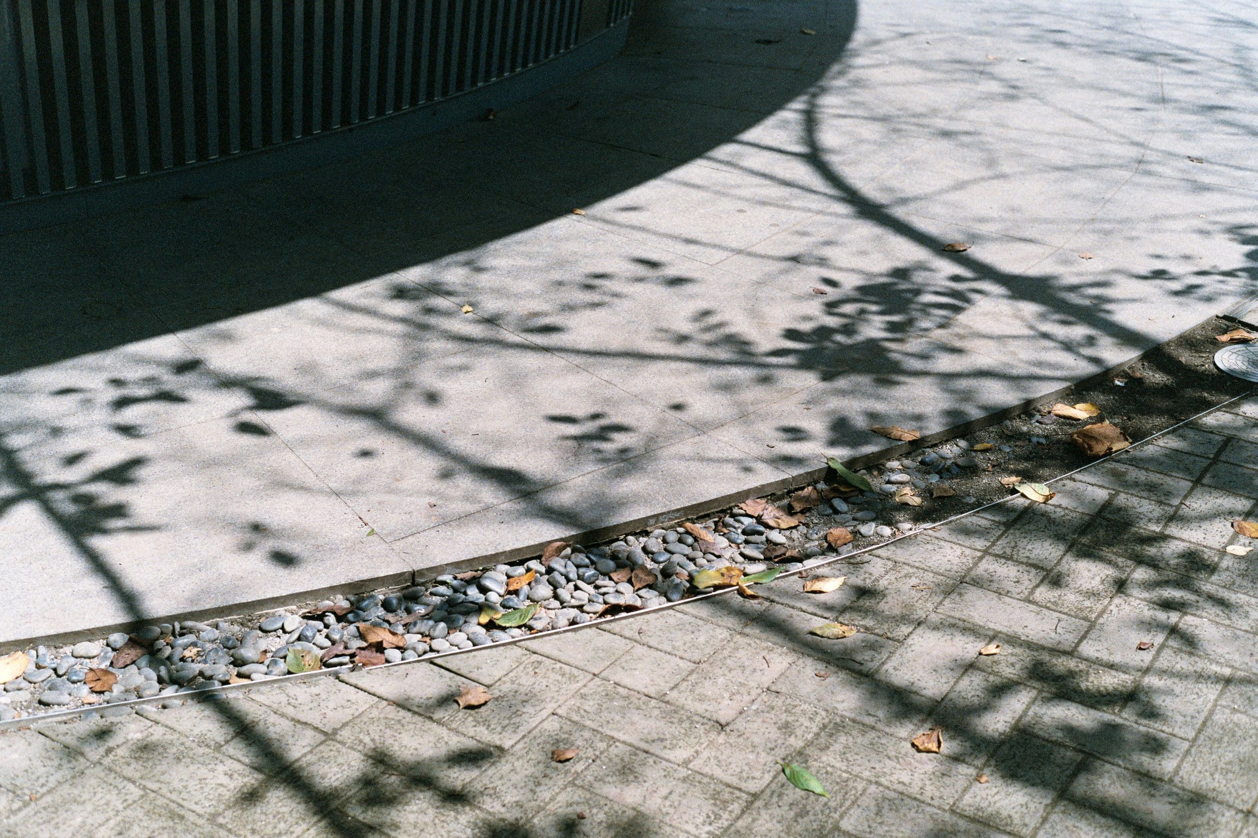 Amayadori in Jingu-Dori Park by Tadao Ando from the Tokyo Toilet, 2024