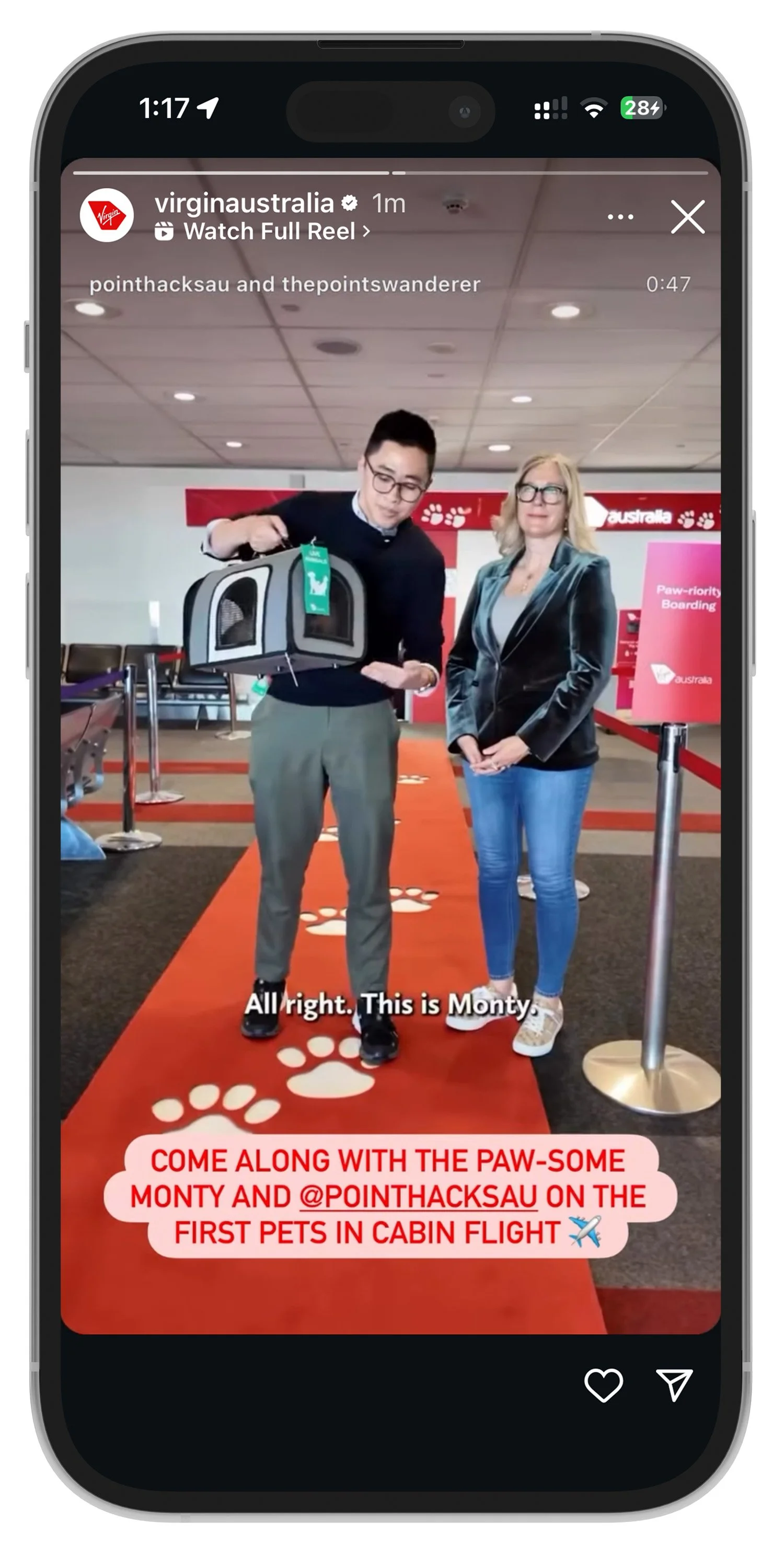 Pets 1.jpg