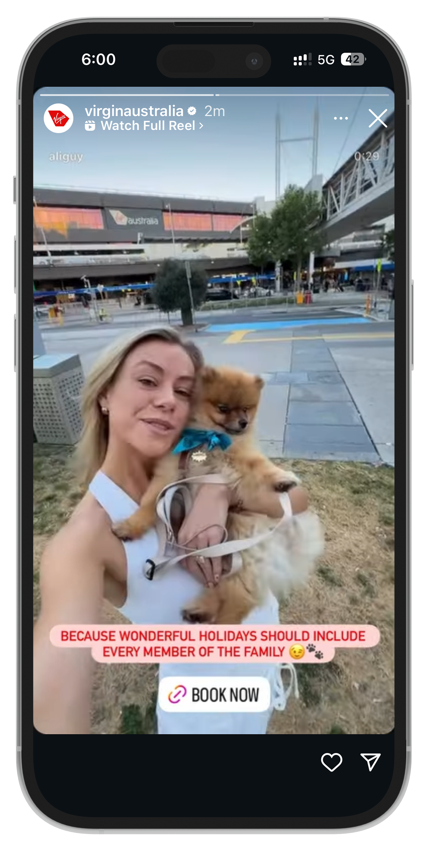 Pets.png