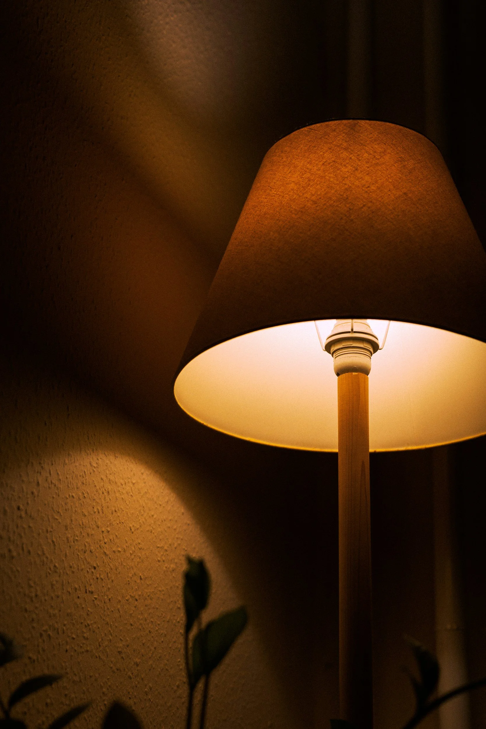 A lit table lamp with a beige shade casting warm light on a textured wall and some plant leaves in the foreground.