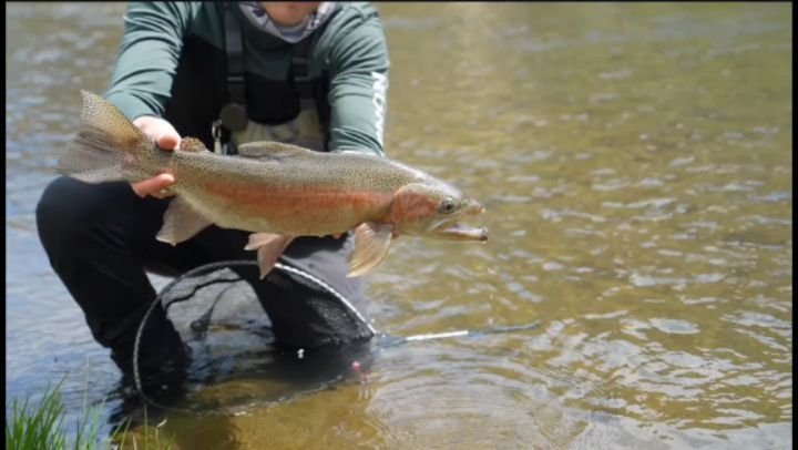 Shout out to @vrreels! It has been an absolute treat using my Trutta Perfetta this season. Special reel for a special occasions. Thanks @trouthuntingnz for the great times and great 🎥 

#flyfishingnewzealand #vrreels #customreel #handengraved