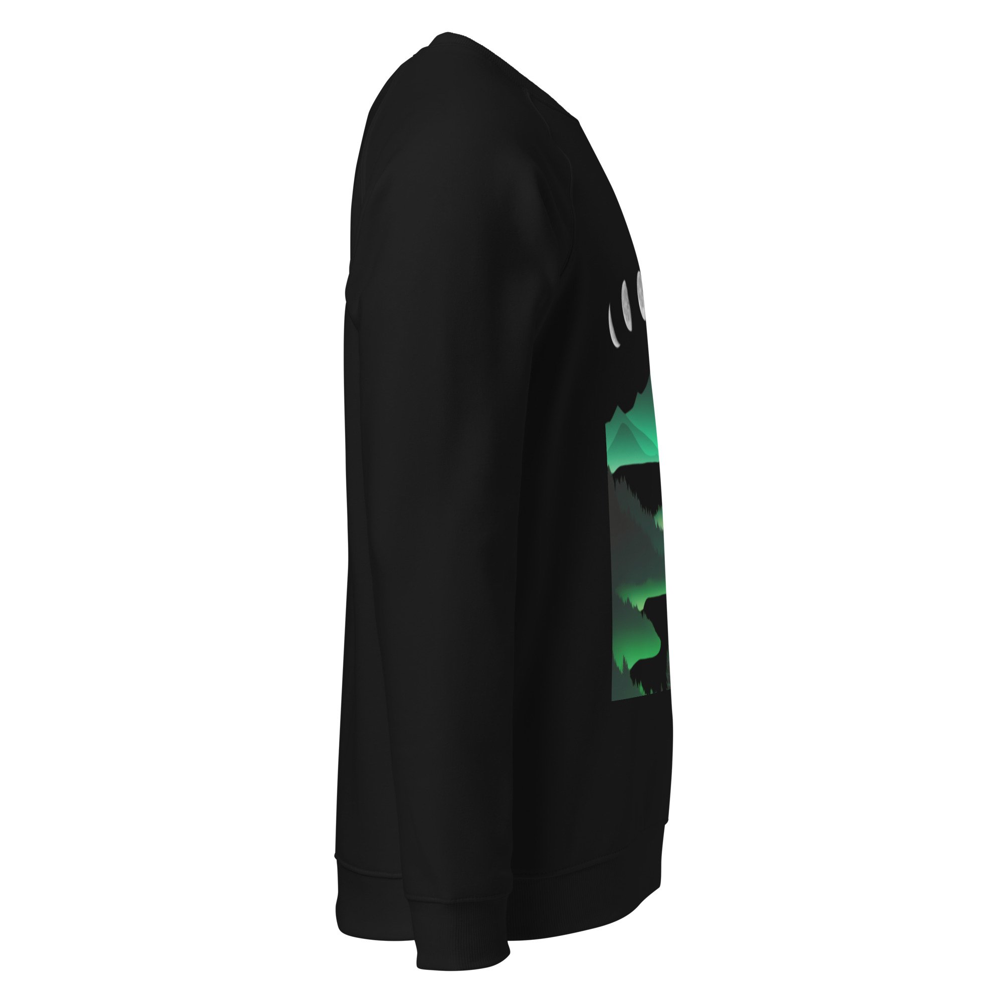 unisex-organic-raglan-sweatshirt-black-right-68e4ecbd39081.jpg