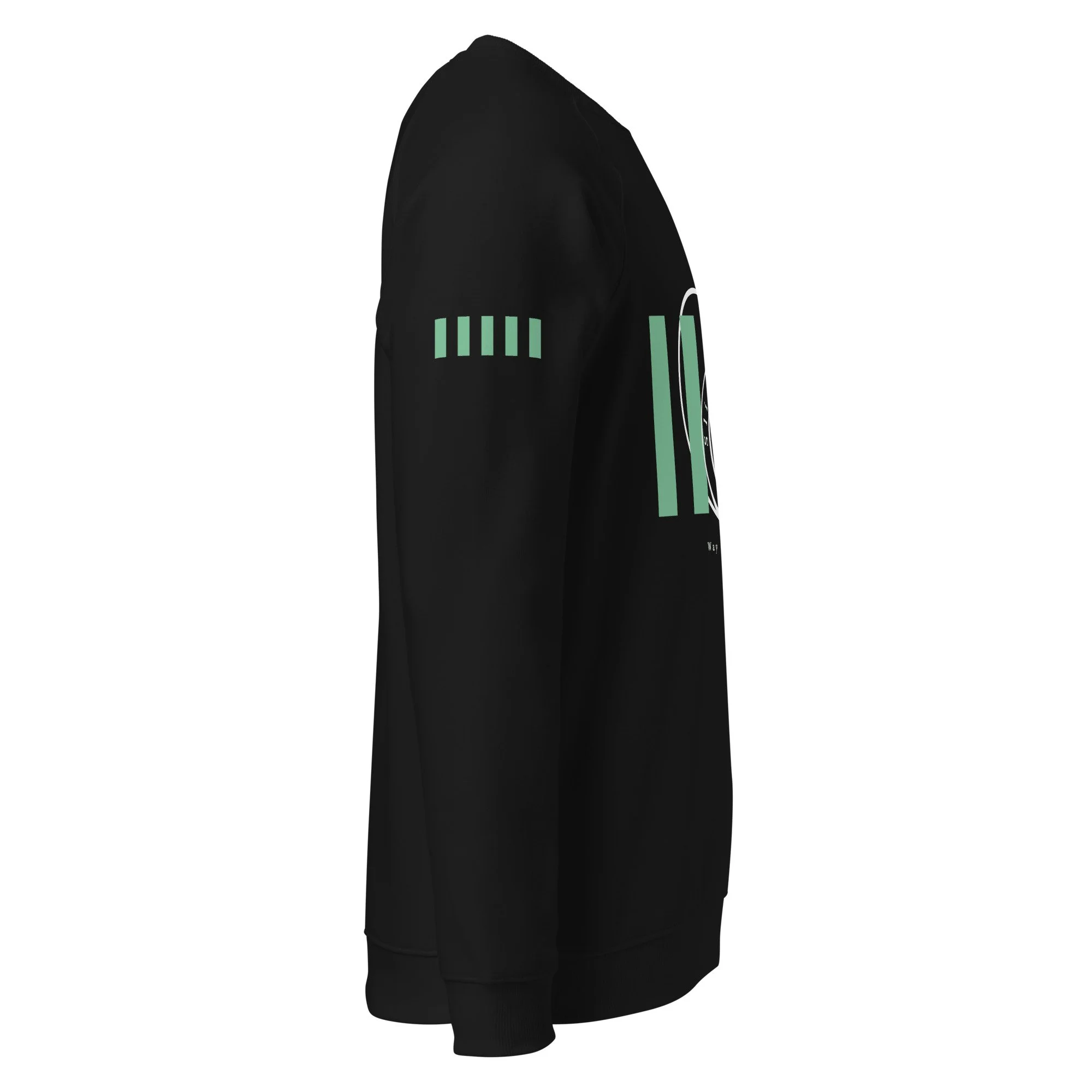 unisex-organic-raglan-sweatshirt-black-right-6a7323d4688e1.jpg