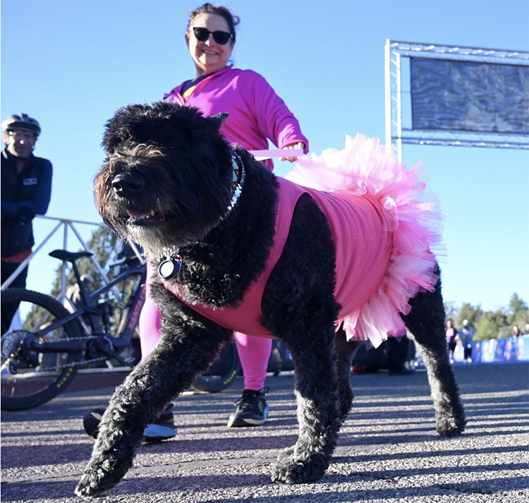 Owner smiling proudly with her black fluffy dog in a pink leotard with a tutu. She is matching the dog and you can see a race sign in the back along with a bike.