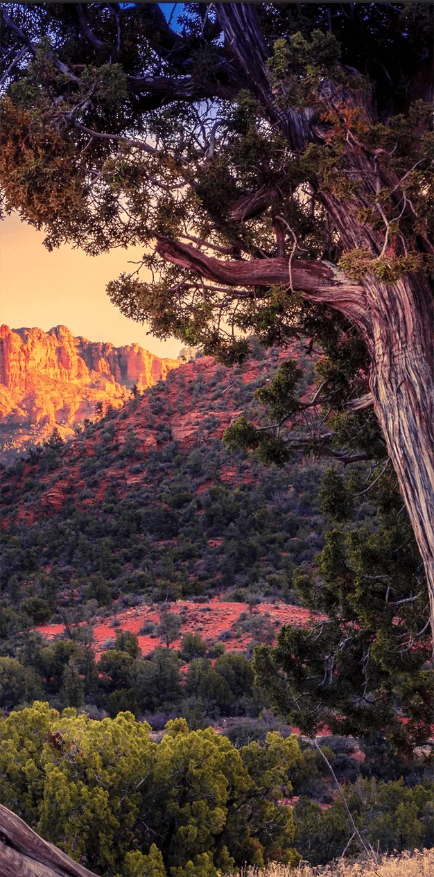 Sunset photo of a dramatic and scenic view in sedona arizona, it has views of the infamous red rock formations towering over the valley.