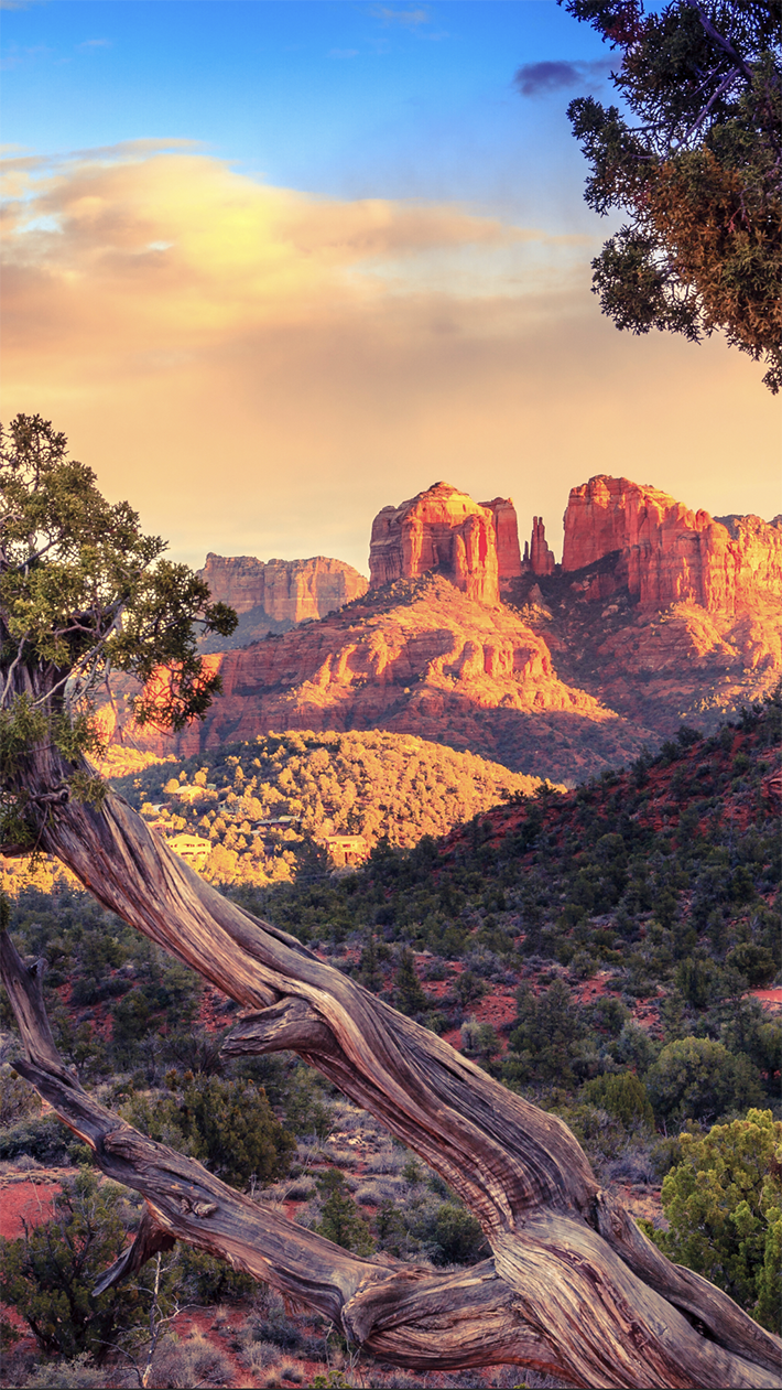 tall red rock formations tower over a green valley in sedona, arizona.
