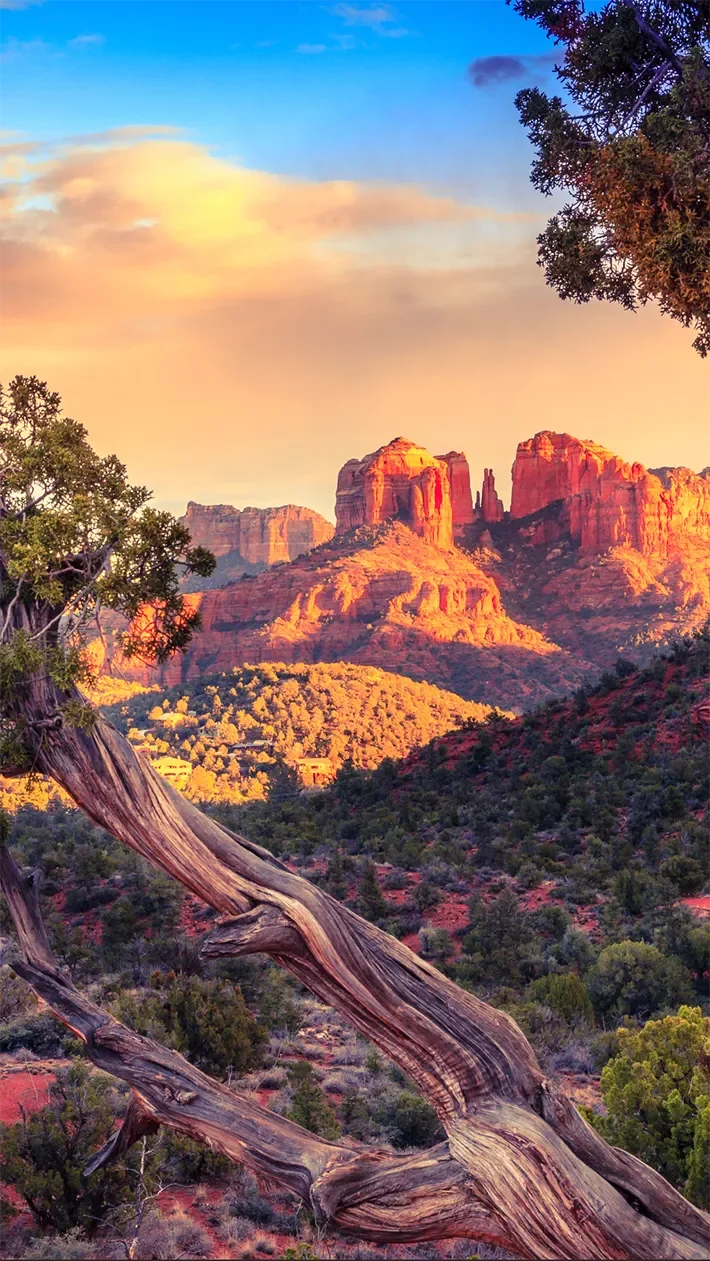 Majestic red rock formations under a soft evening sky in Sedona, looking out over a lush green desert canyon.