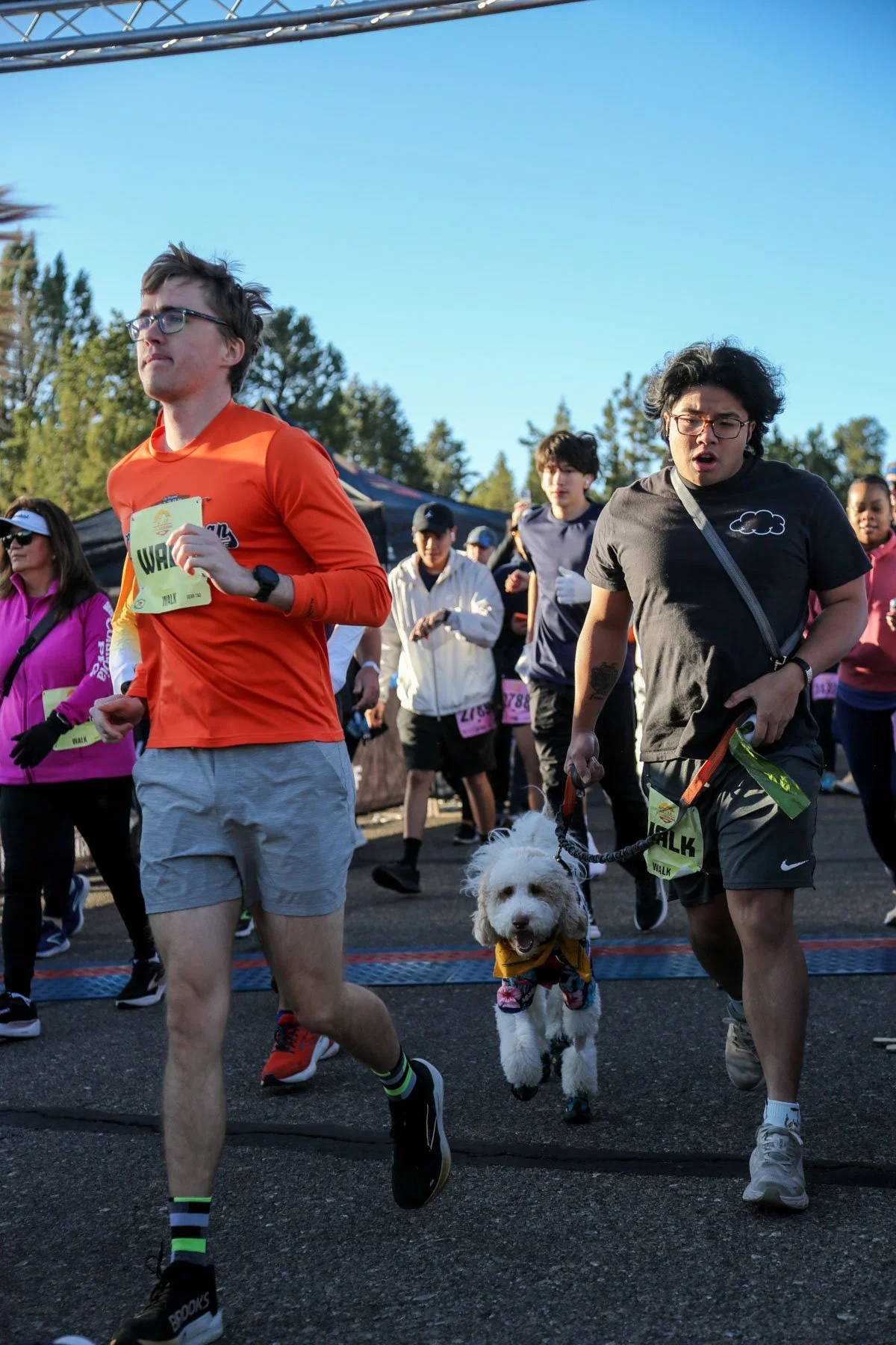 RunSedona 5K walk for dogs and families. A crowd of runners including a runner in a black shirt with long hair with a poodle like dog by his side!