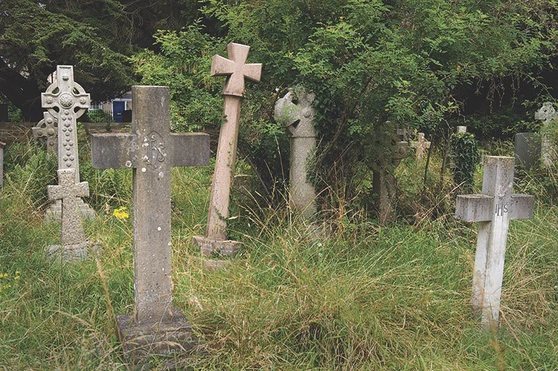 The Geology of Gravestones
 
Celebrate science in a cemetery?  Why not? The wide range of rock types used for gravestones means that cemeteries offer a great opportunity to learn about geology. And geology provides an excellent introduction to all so