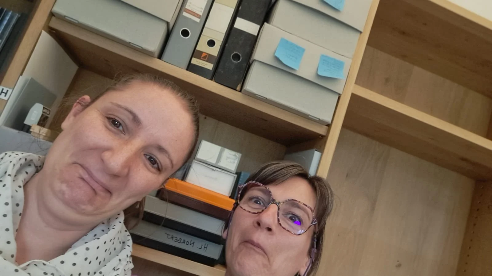  „Du glaubst es nicht, es ist fertig“ – diese Nachricht erreichte Miriam während einer Tagung. Ein großer Nachlass war endlich erschlossen und neu verpackt. Eine echte Mammutaufgabe! 