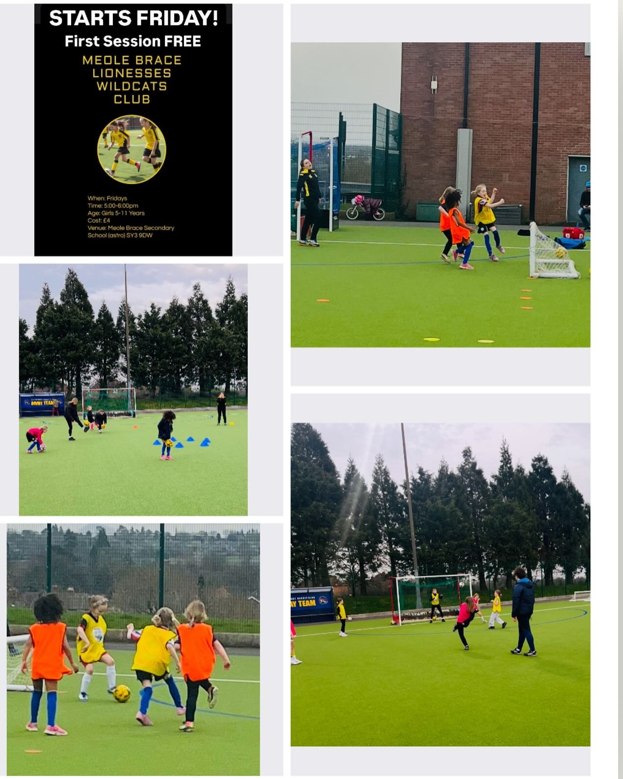 Our Lionesses Wildcats club continues today 5:00-6:00pm.
All girls aged 5-11 are welcome.
Register below 👇
https://forms.gle/pGv5QX7FRGP2Qift8