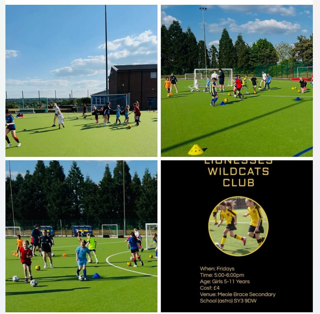 Great fun with our girls only ‘Wildcats Lionesses’ this evening playing snake tag🐍
Top slithering girls👏🏼
All girls aged 5-11 are welcome 5:00-6:00pm on the astro at the Meole Brace Secondary School
Register below 👇
https://forms