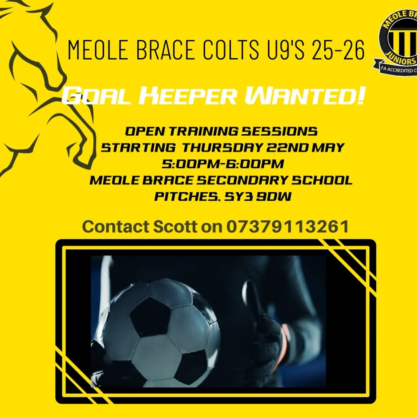 Our U8 Colts (Current Year 3) are looking for a Goal Keeper to join their team for next season. Please contact Scott on 07379 113261 for more information 🐎