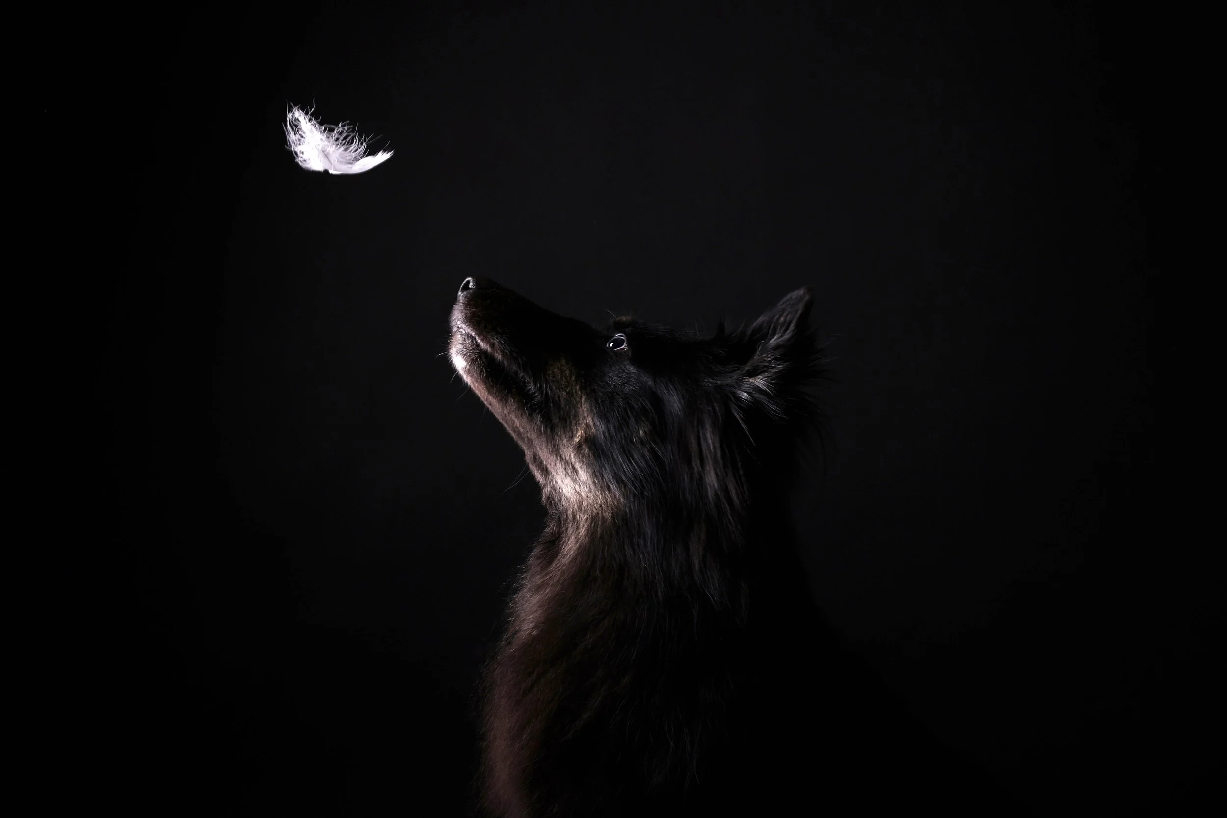 1C9A7799.jpg