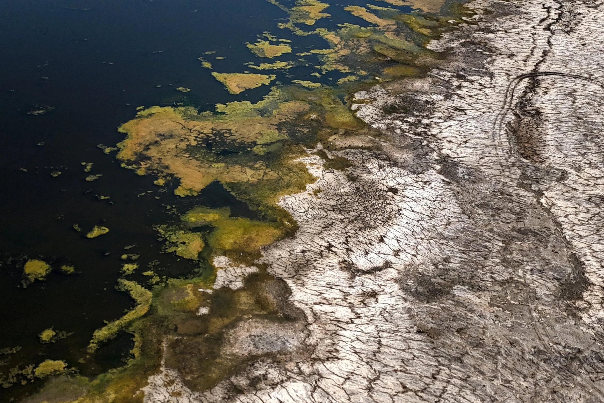 DJI_20260805104518_0016_D.jpg