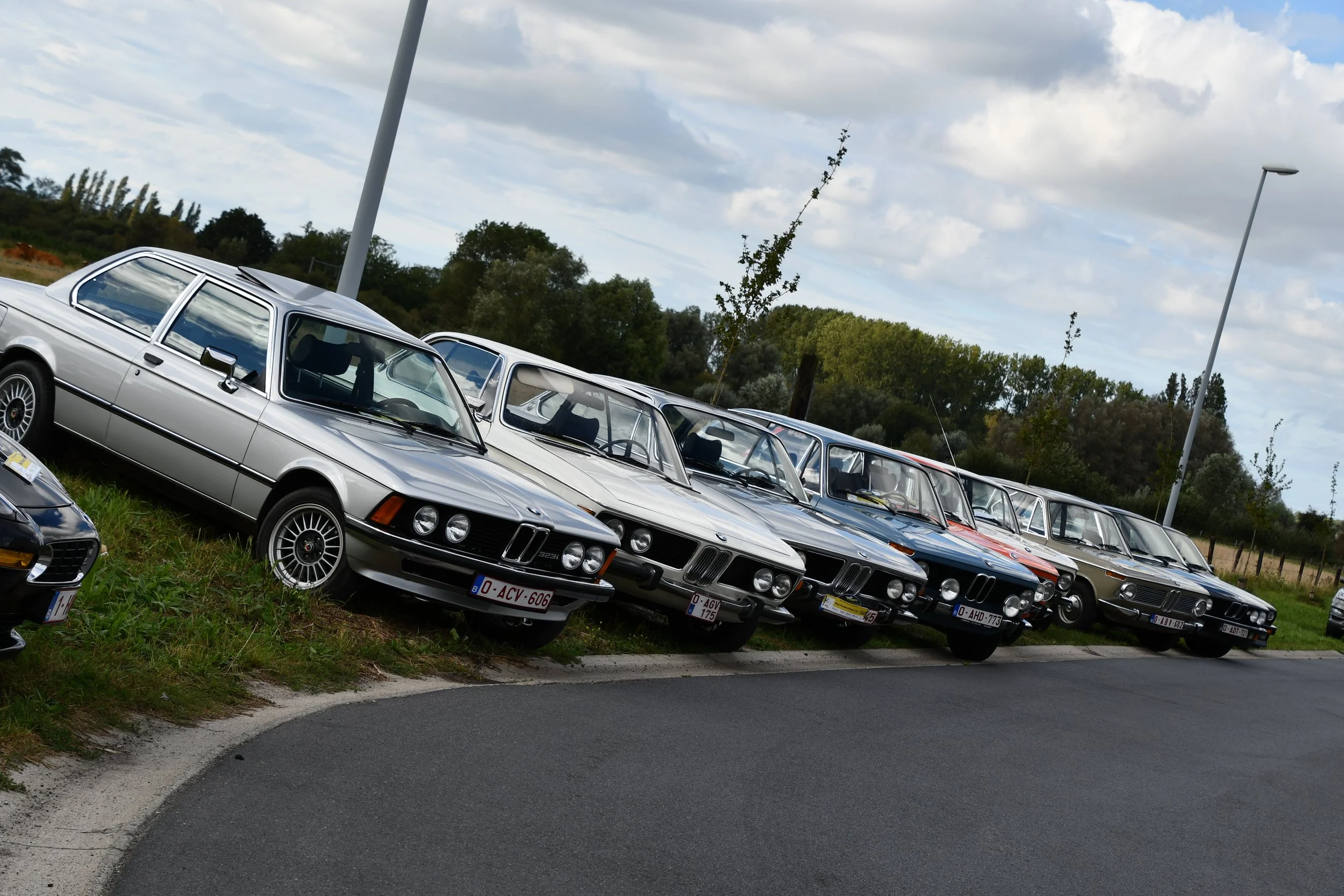 DSC_1311.JPG