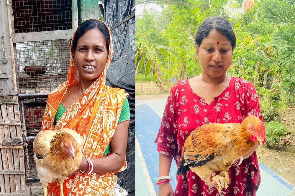 Chicken Project — Vision for Asia