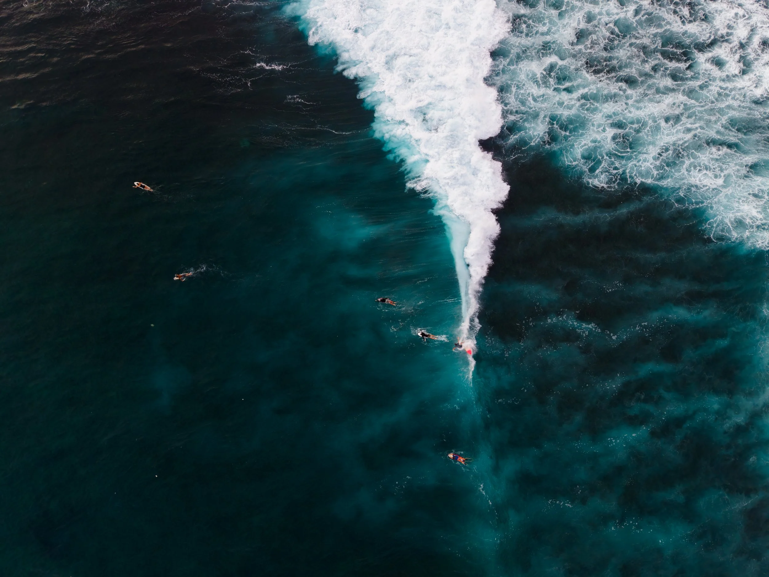 DJI_20260325074626_0347_D.jpg