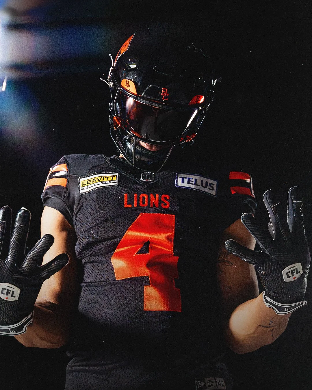 Lions259.jpg