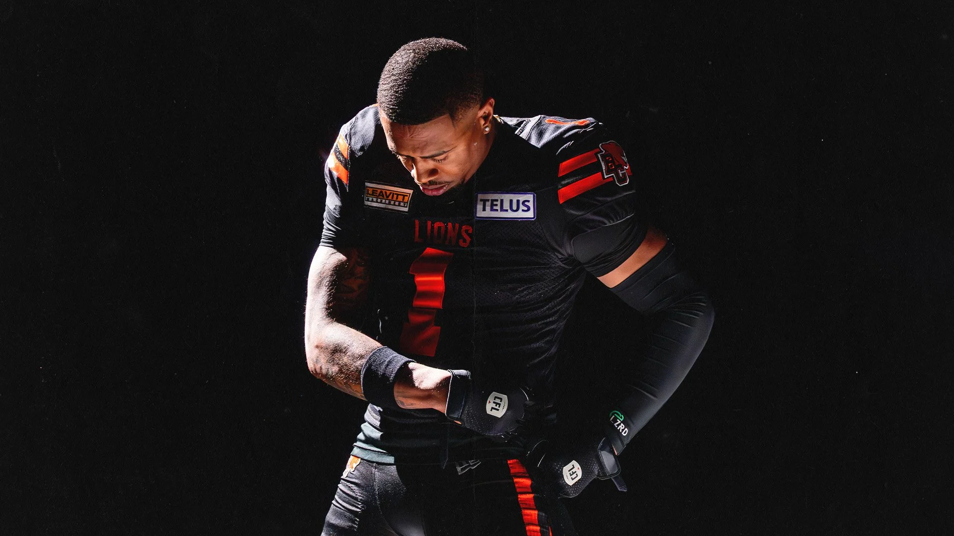 Lions2510.jpg