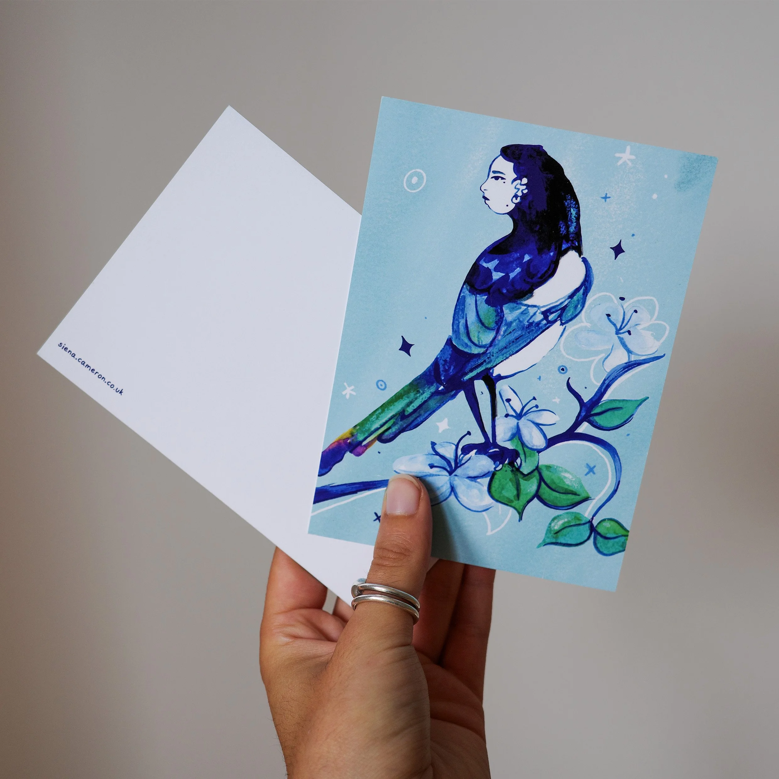 Harpy Postcard