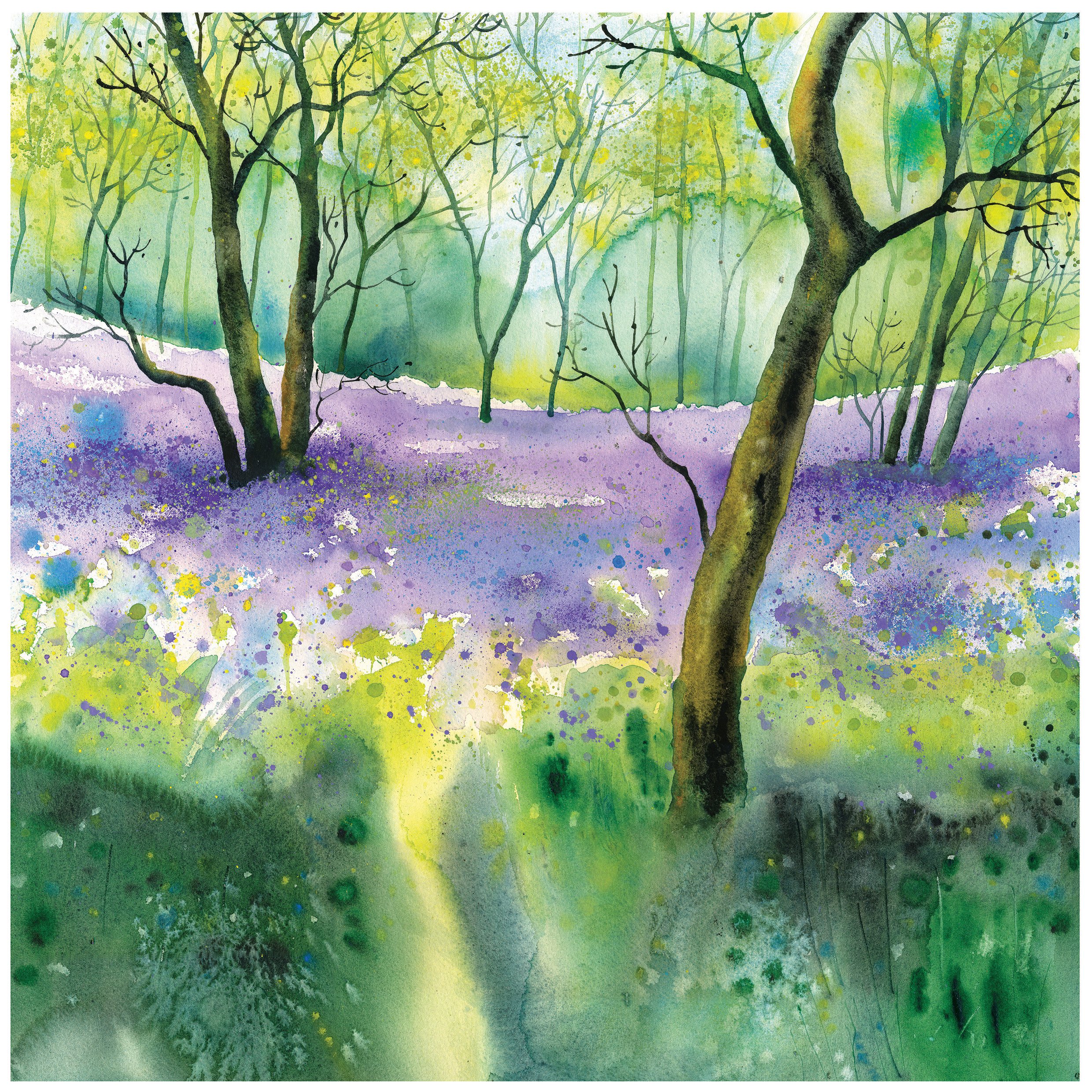 Bluebell Woods