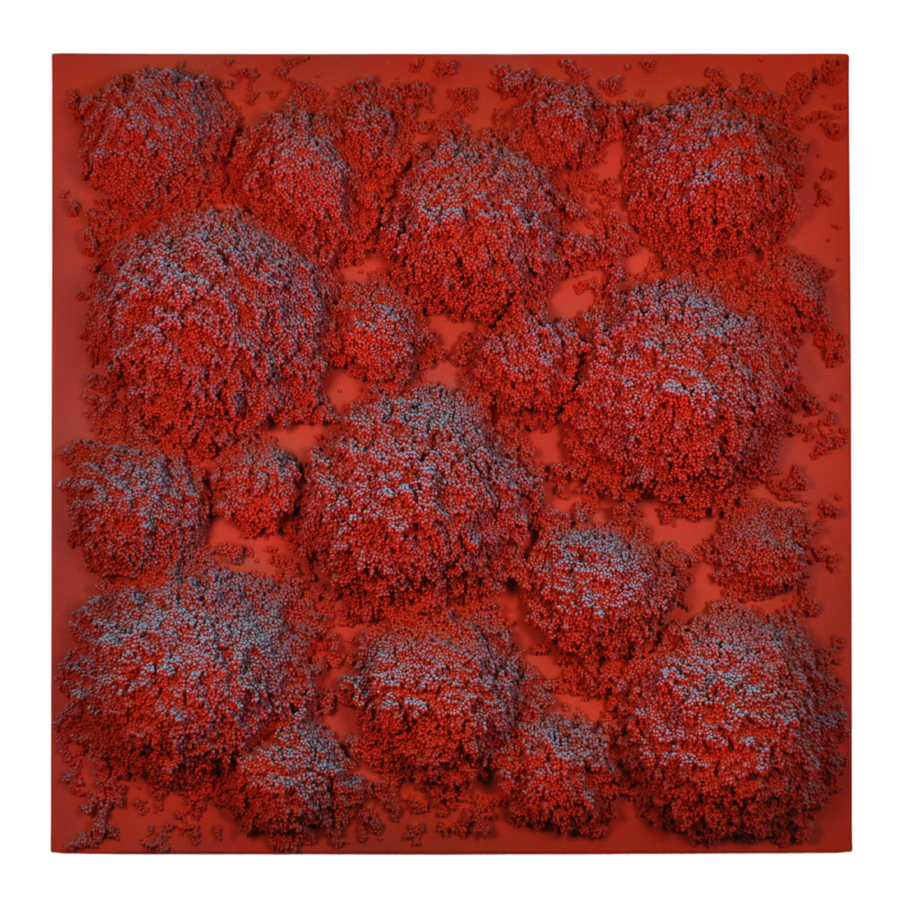 AFTERGLOW | 100 x 100 CM