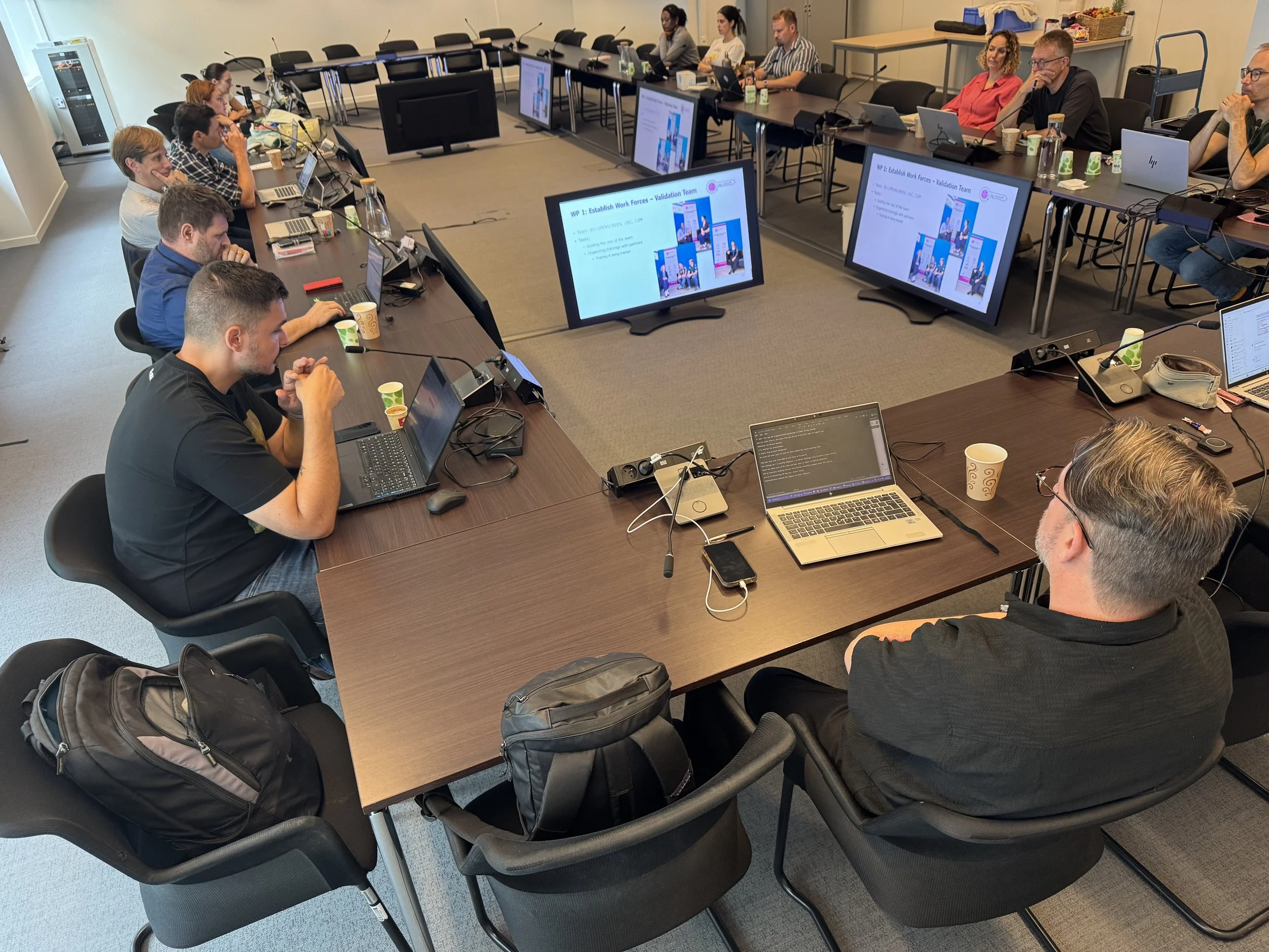 Reporting period 2 meeting 17-18 June in Brussels: review rehearsal