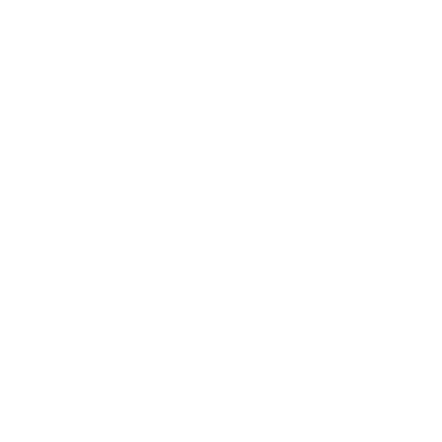 Smart Tech Solutions 