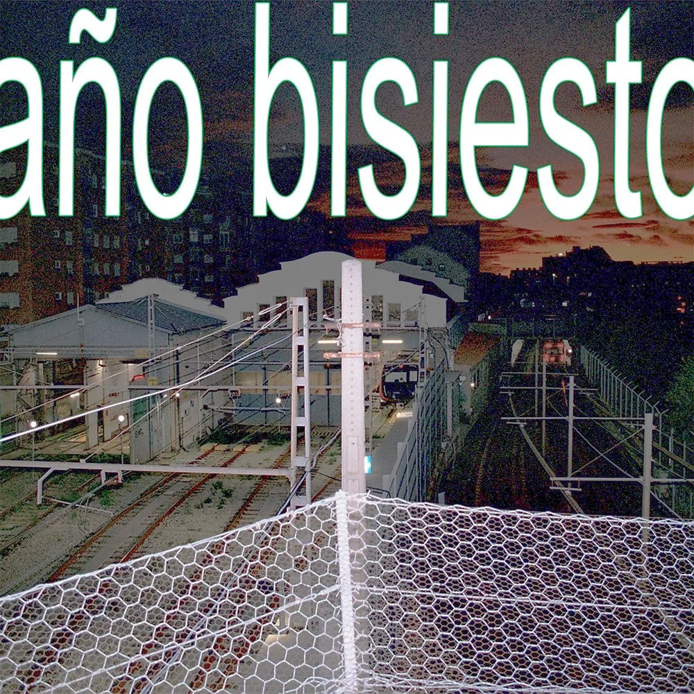año bisiesto (netlabel) 