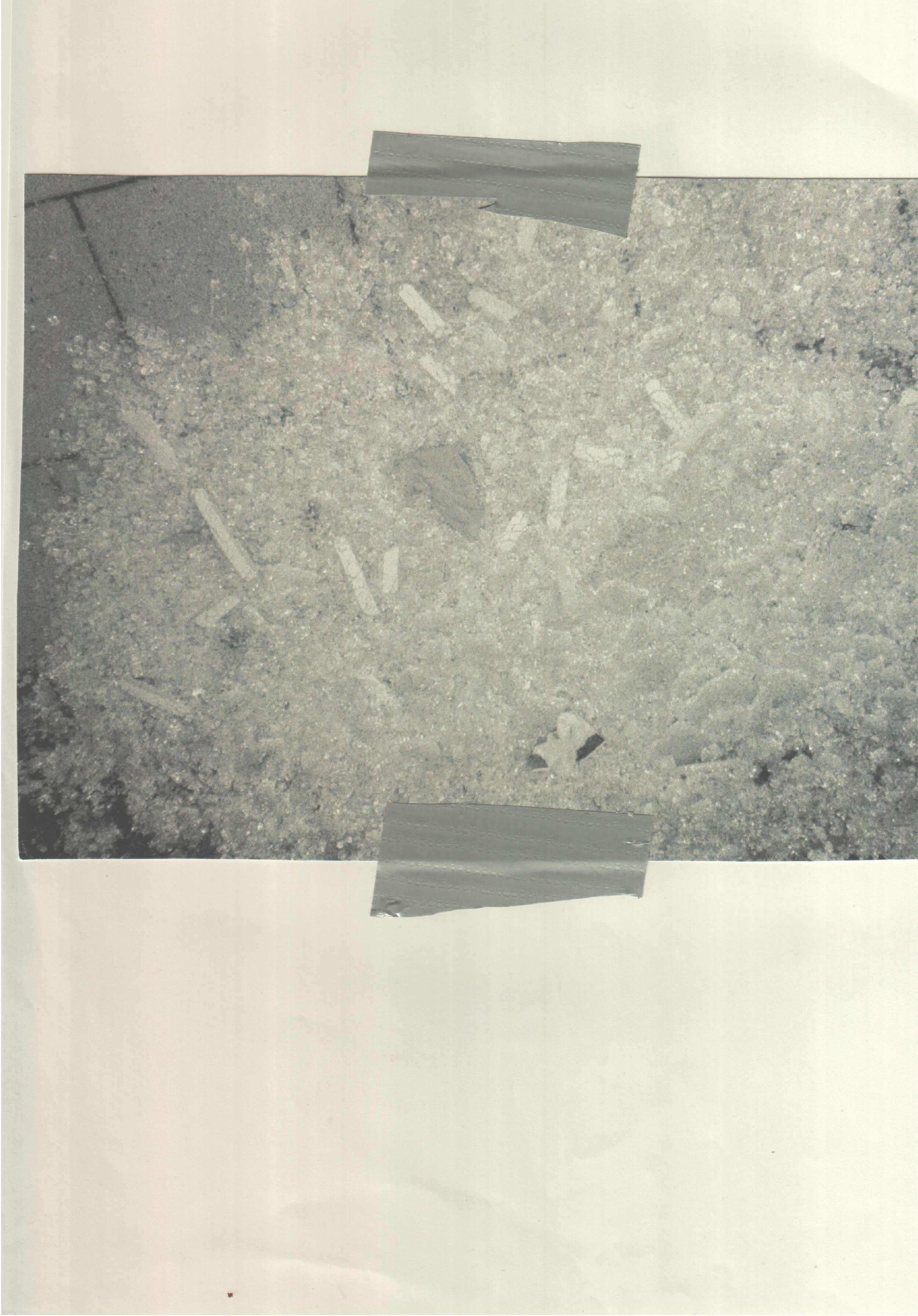 p12.png